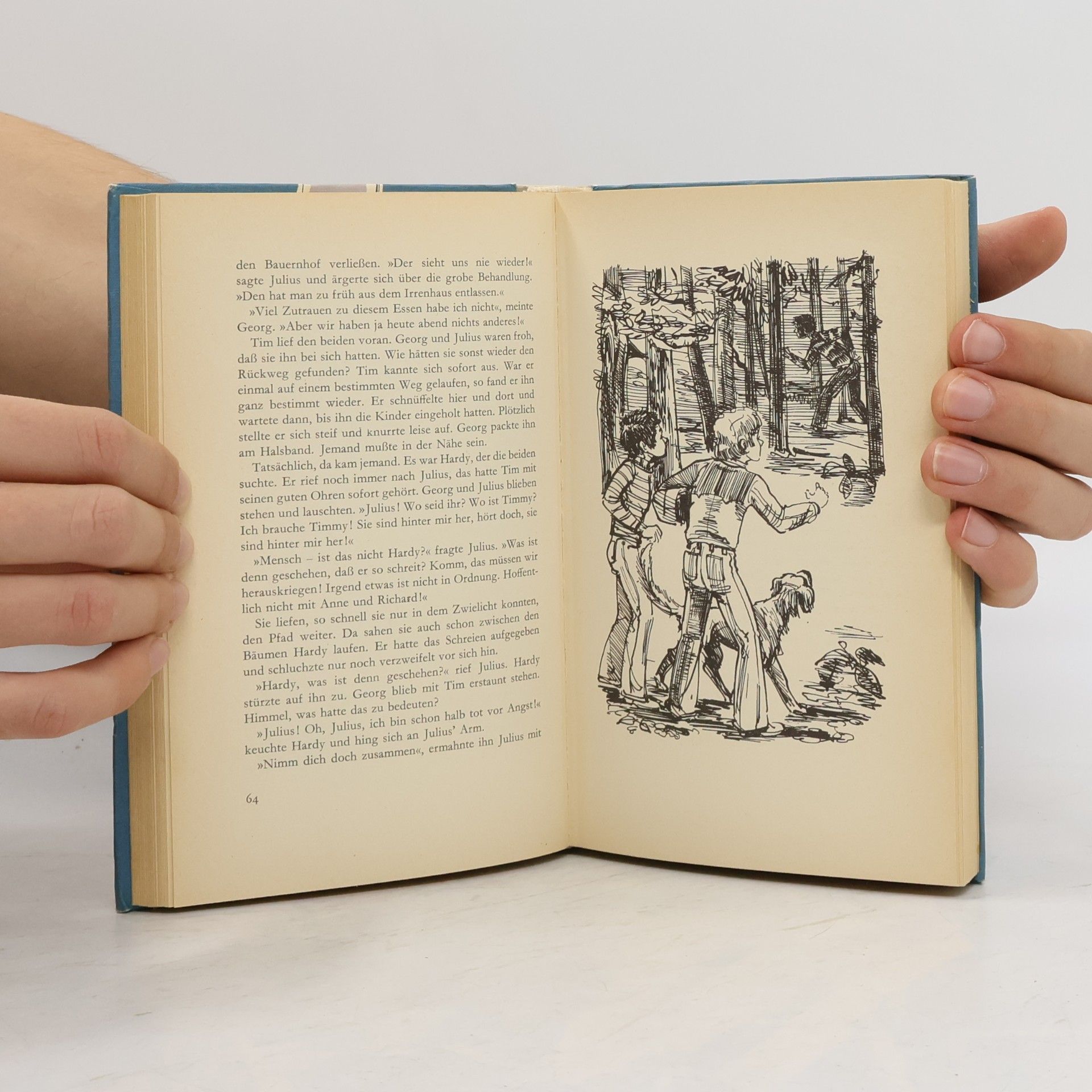 Enid Blyton Fünf Freunde: geraten in Schwierigkeiten