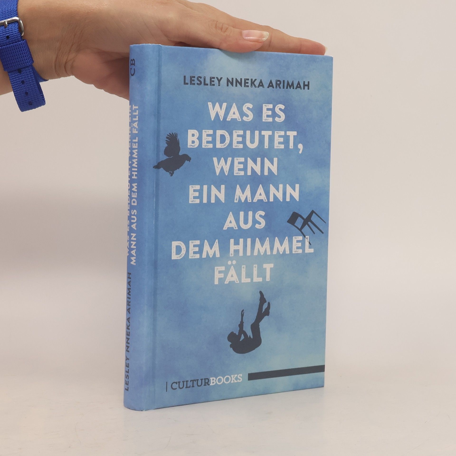 Lesley Nneka Arimah Was es bedeutet, wenn ein Mann aus dem Himmel fällt