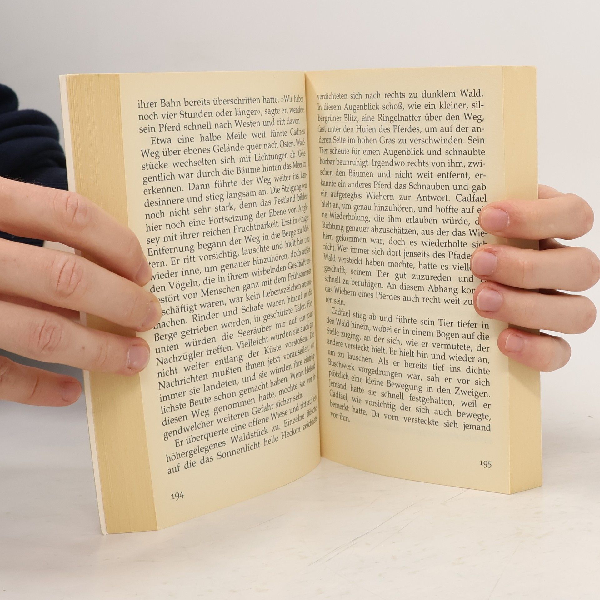 Ellis Peters Bruder Cadfael und die schwarze Keltin