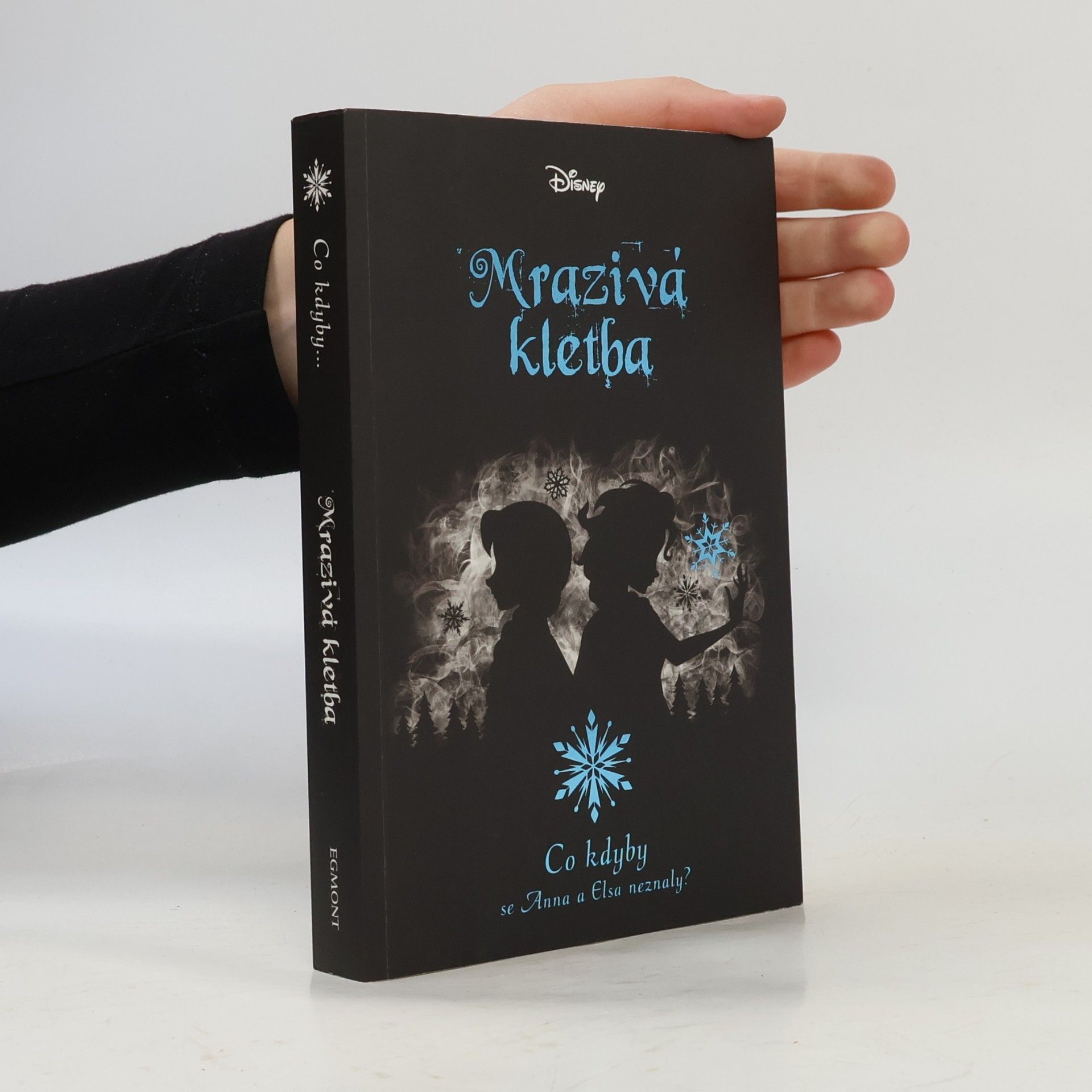 Jen Calonita Mrazivá kletba