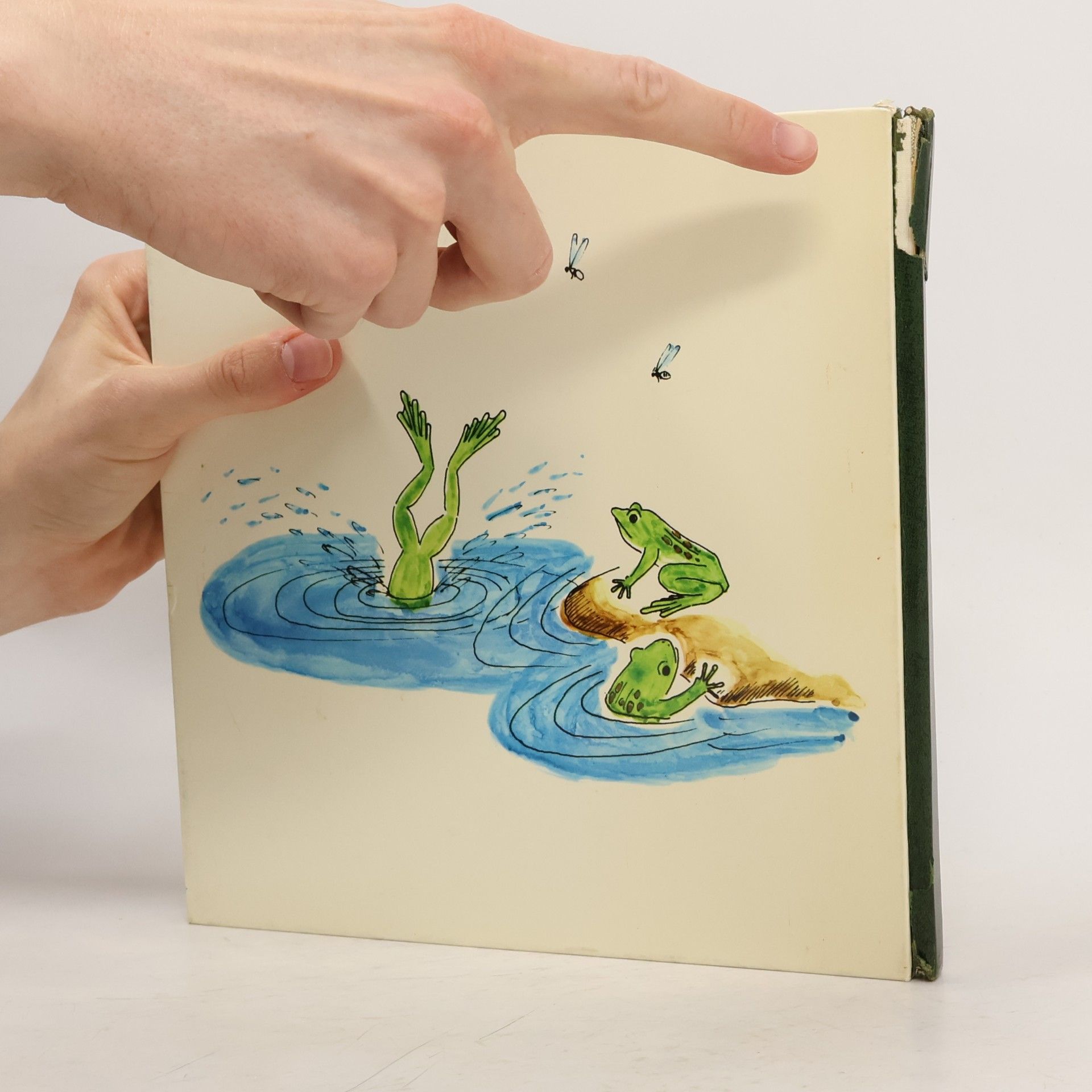 Various authors Das lachende Wasser