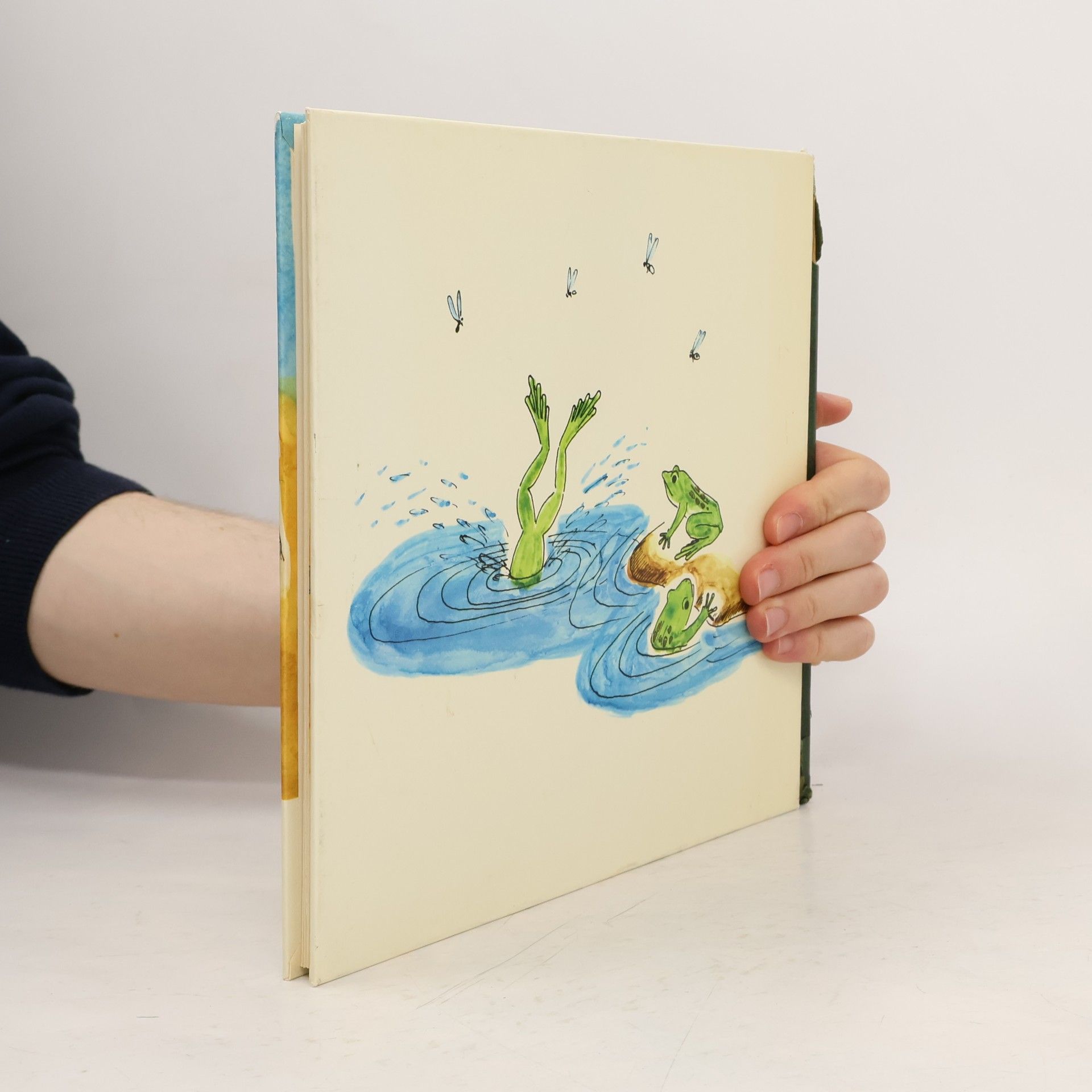 Various authors Das lachende Wasser