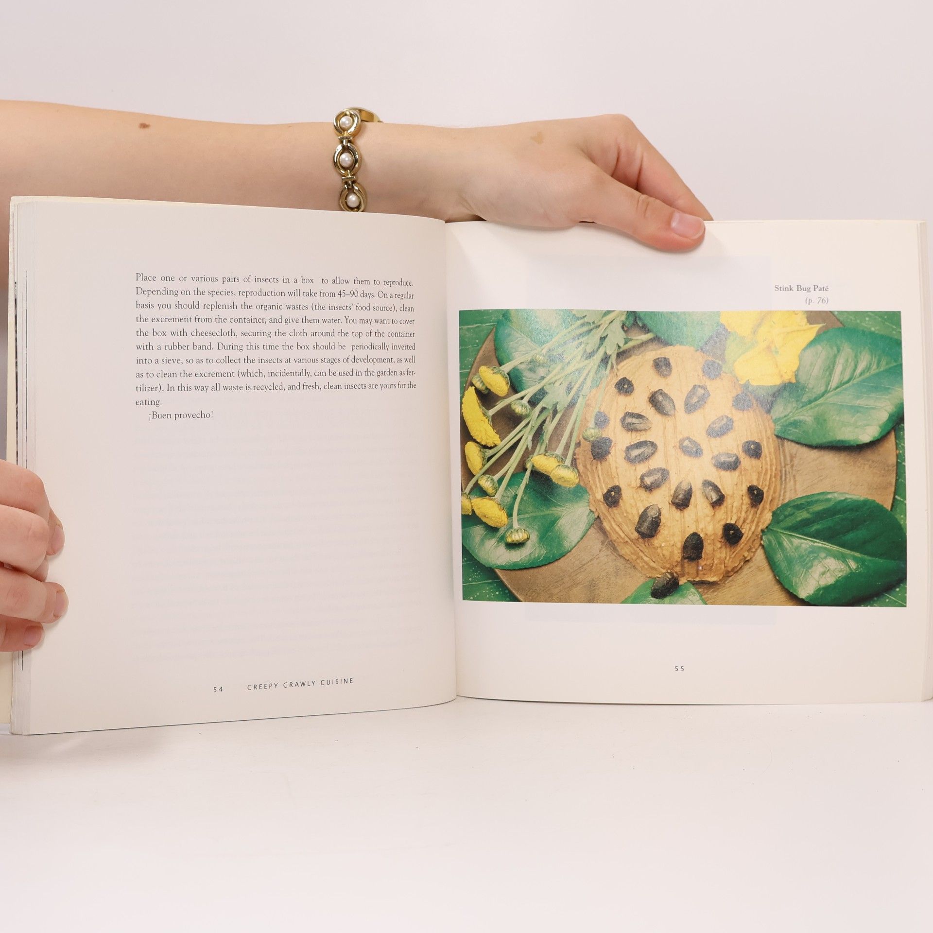 Julieta Ramos - Elorduy Creepy Crawly Cuisine