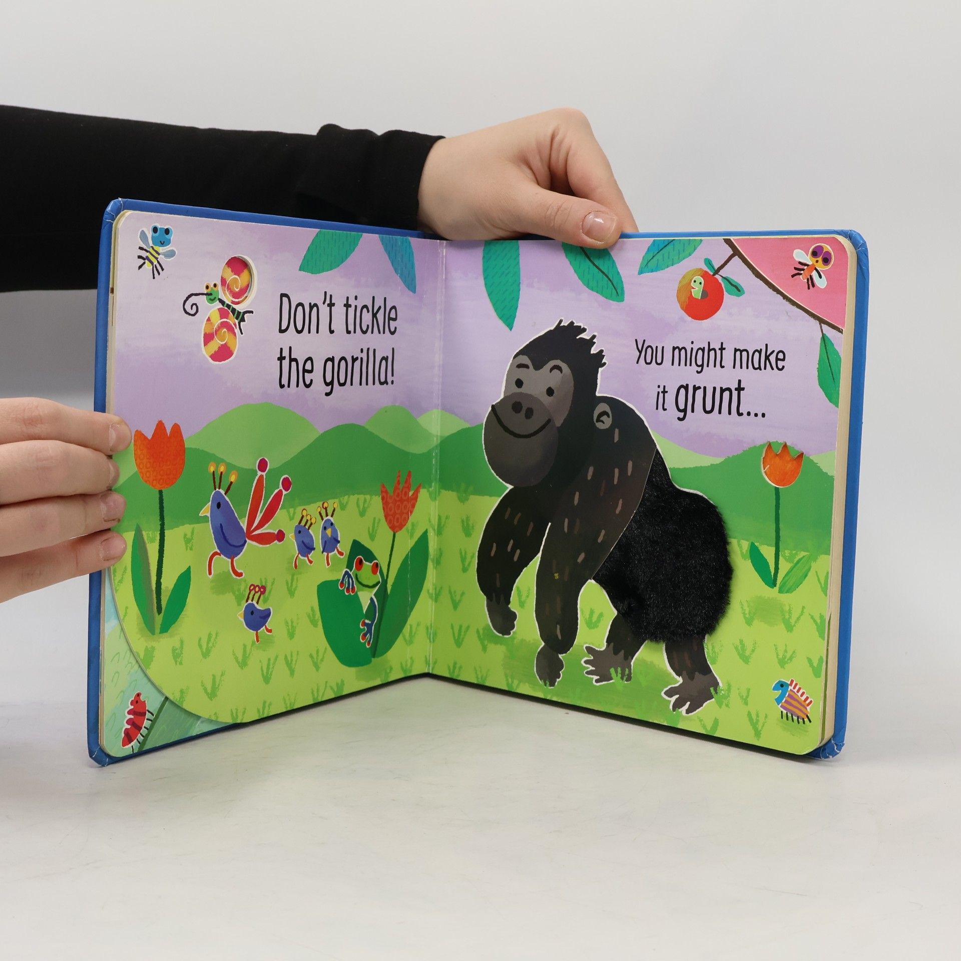 Sam Taplin Usborne Touchy-Feely Sounds - 1: Don't Tickle the Tiger!