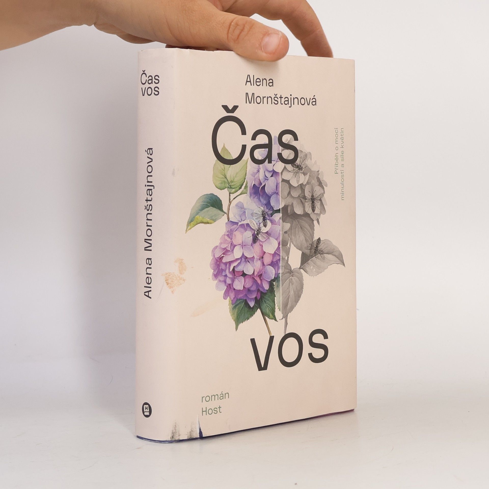 Alena Mornštajnová Čas vos