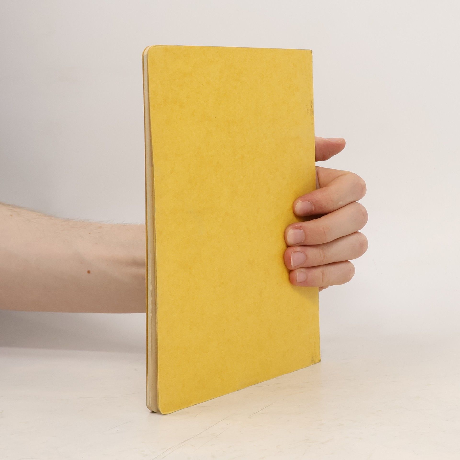 Various authors Die Aufklärungskompanie Typ A