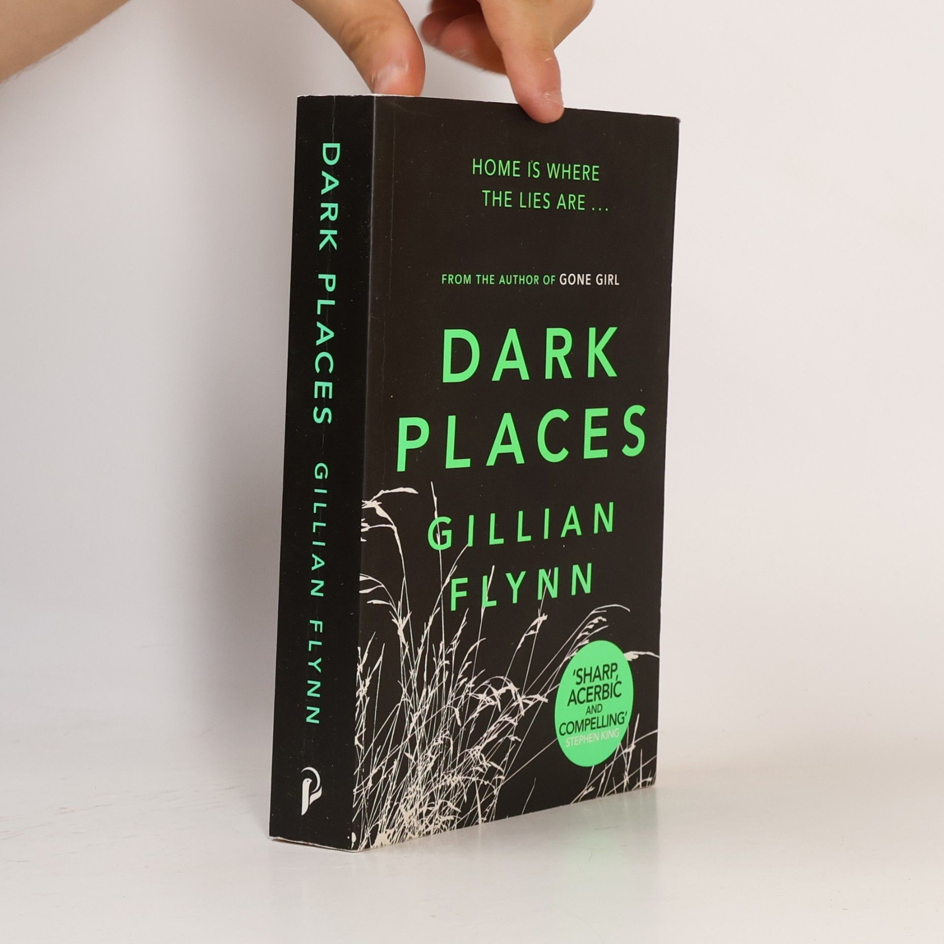 Gillian Flynn Dark Places