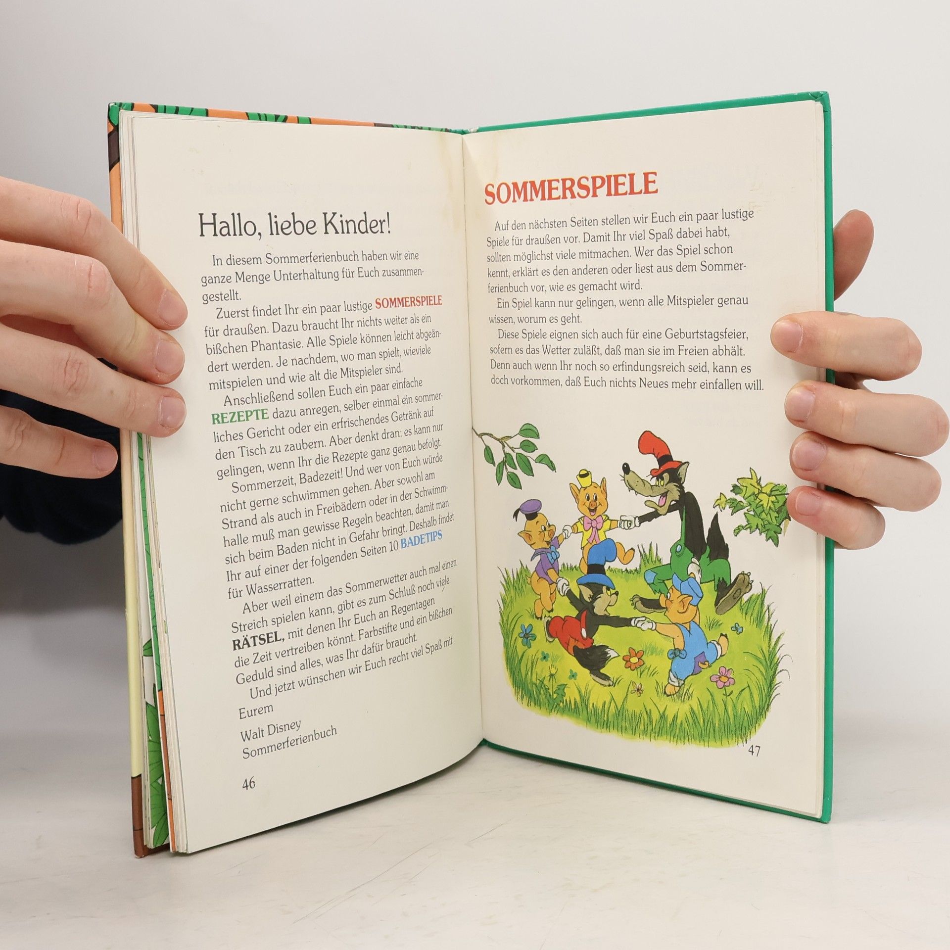 Walt Disney Robin Hood und der große Goldraub