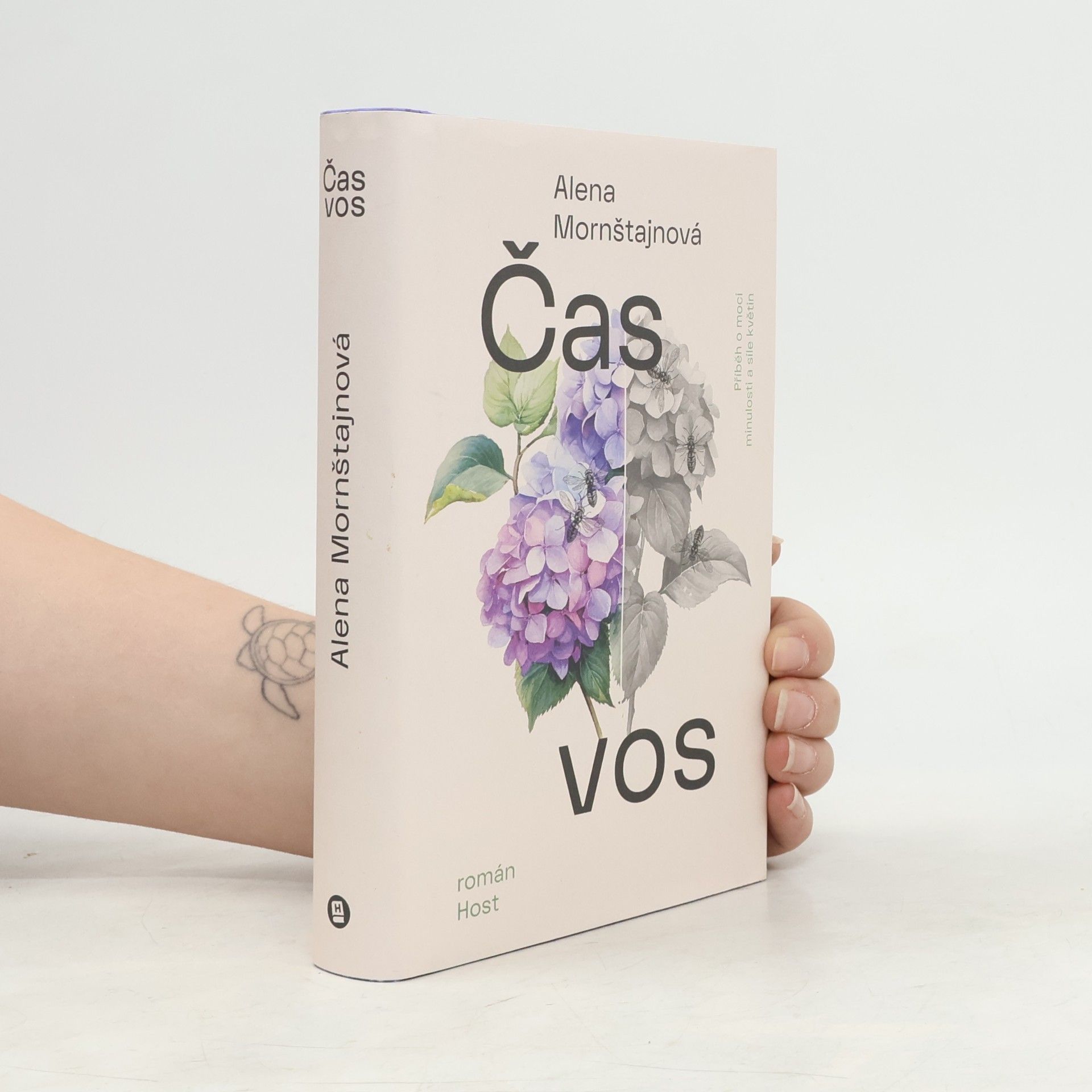 Alena Mornštajnová Čas vos