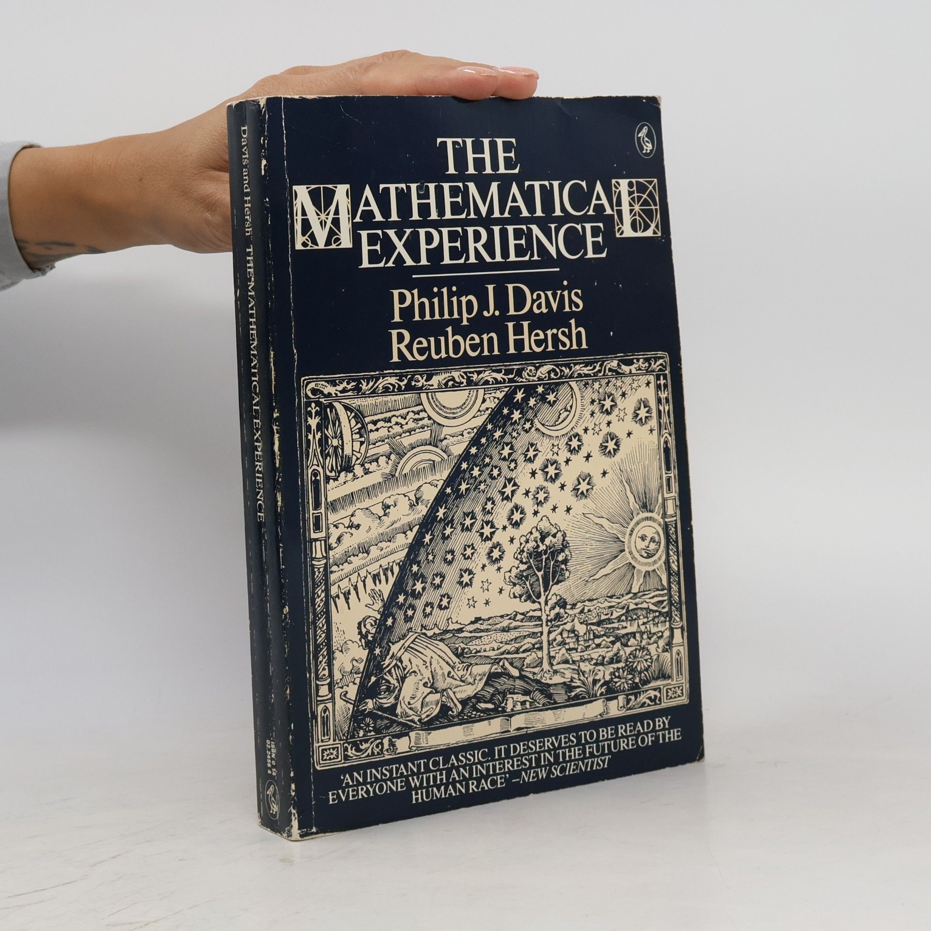 The Mathematical Experience