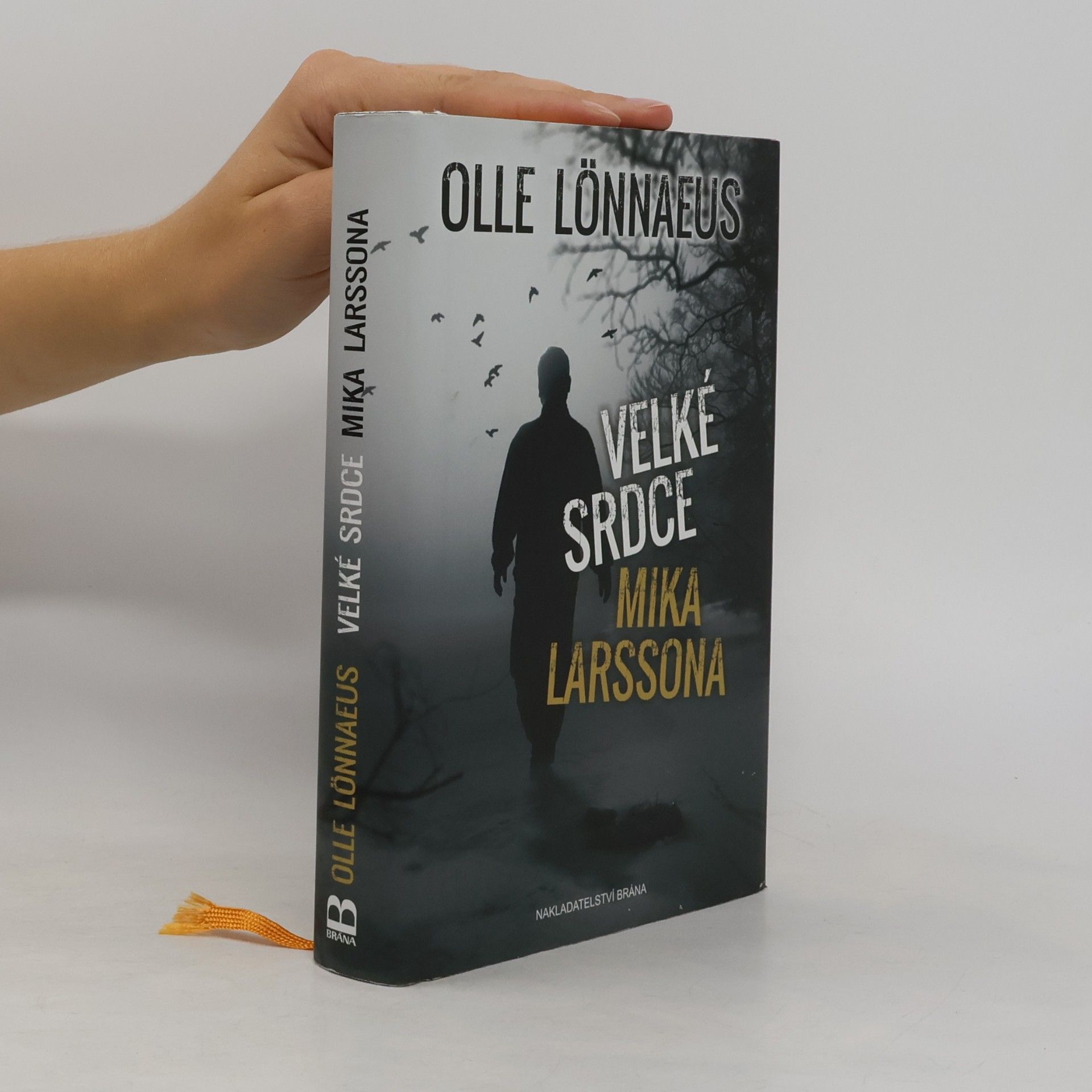 Olle Lönnaeus Velké srdce Mika Larssona