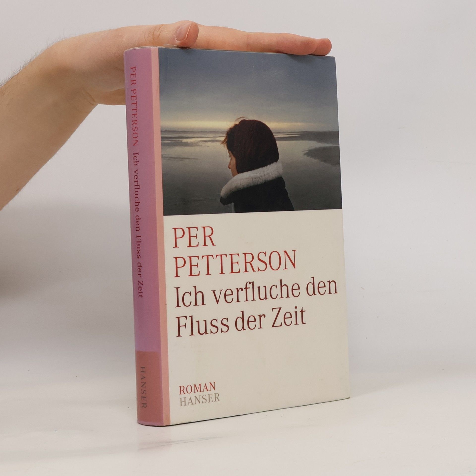 Per Petterson Ich verfluche den Fluss der Zeit