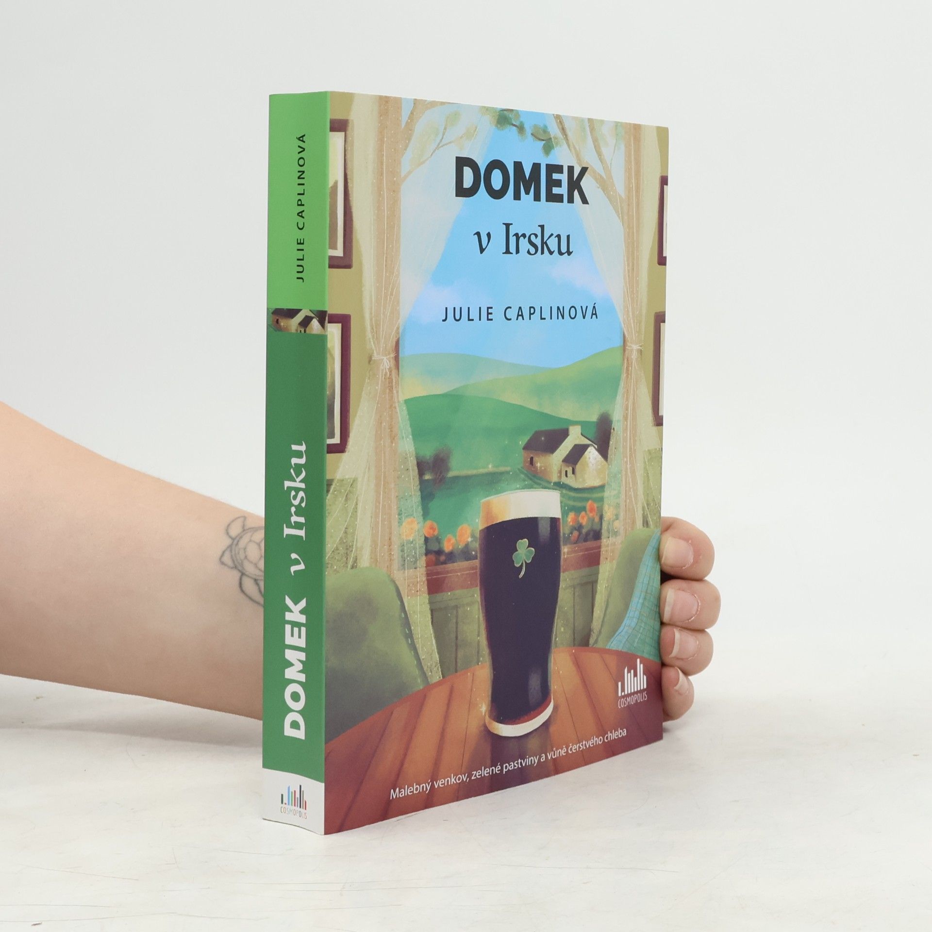 Julie Caplin Domek v Irsku