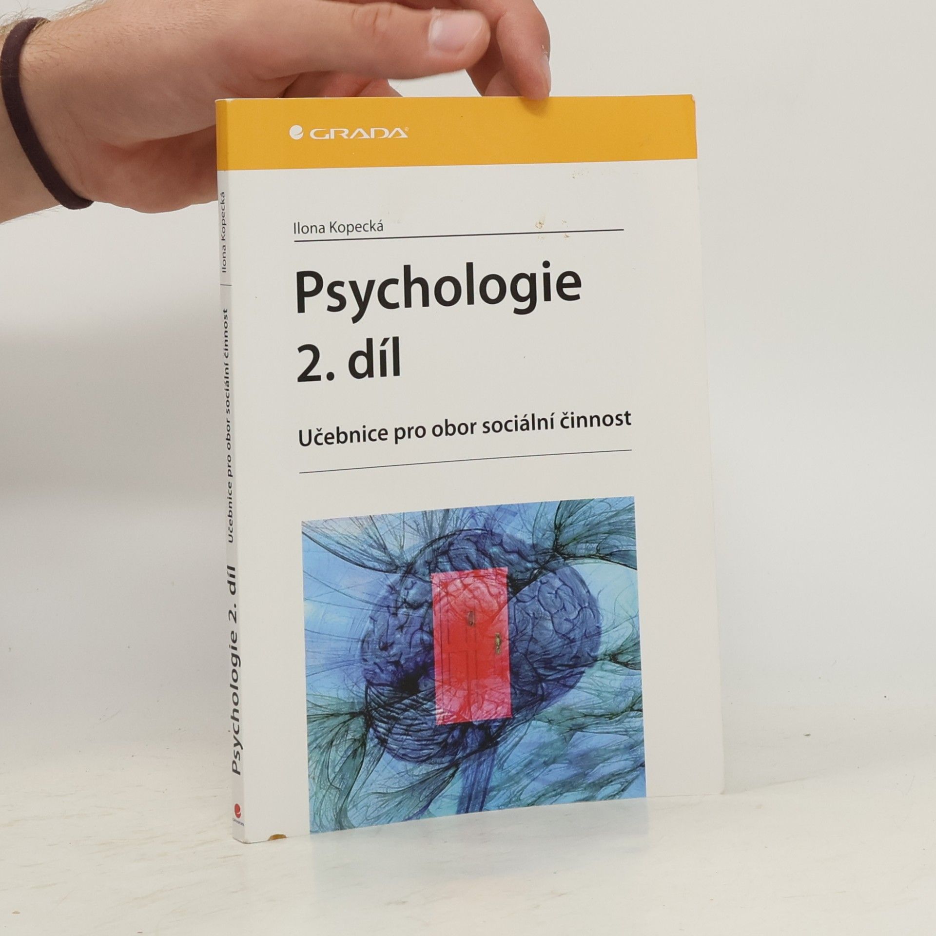 Ilona Kopecká Psychologie : učebnice pro obor sociální činnost. 2. díl