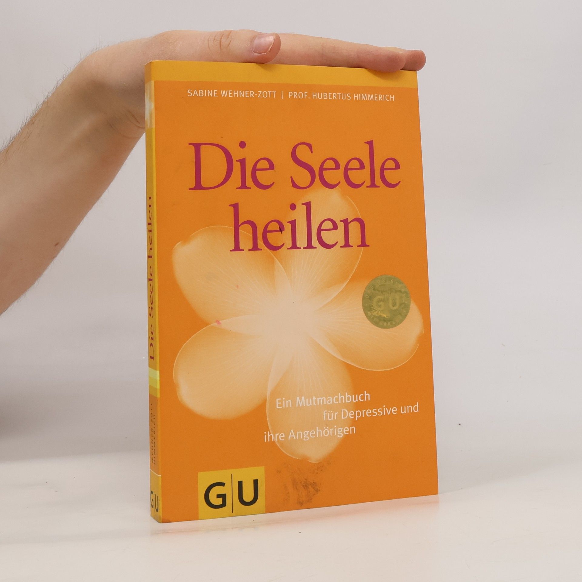 Sabine Wehner Zott Die Seele heilen