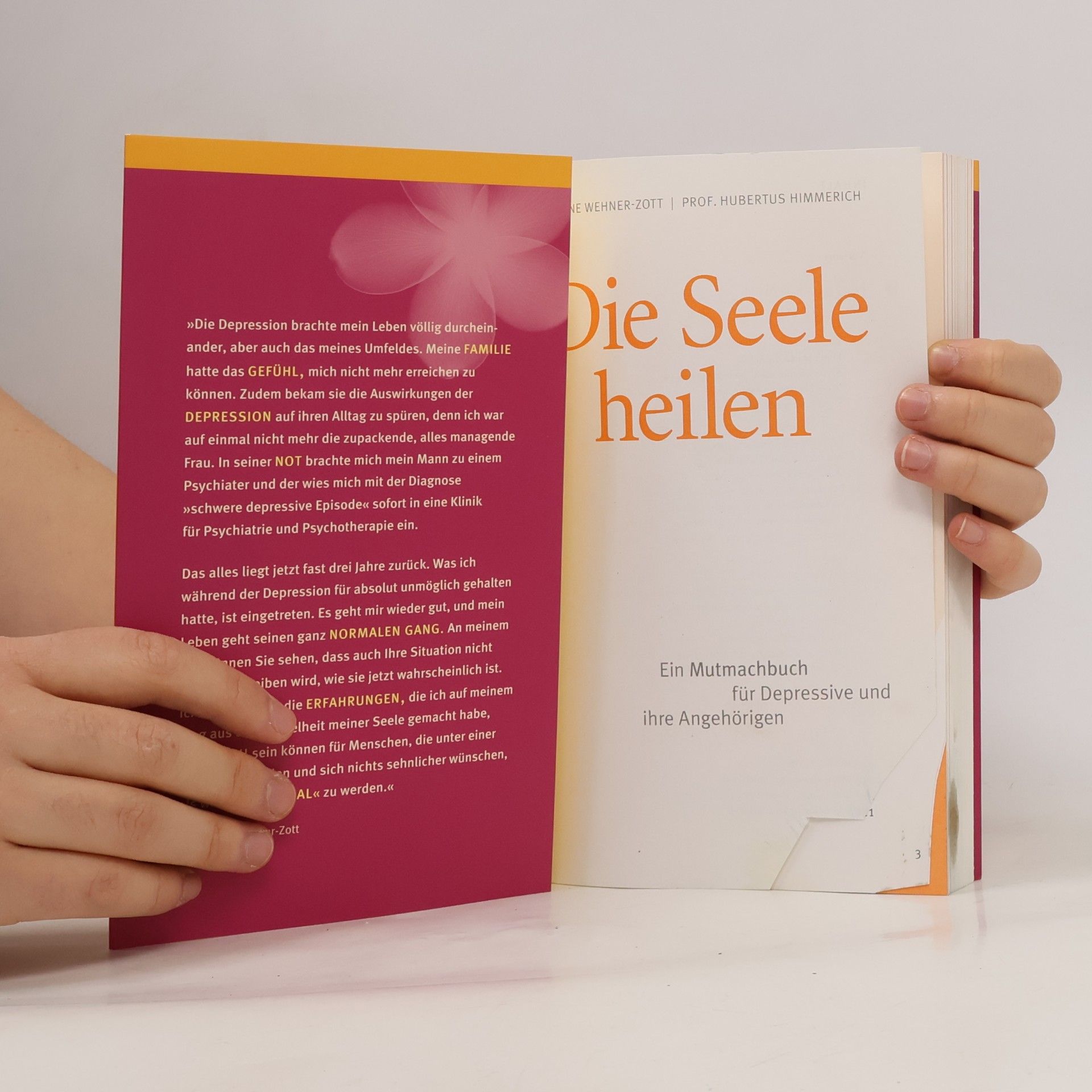 Sabine Wehner Zott Die Seele heilen