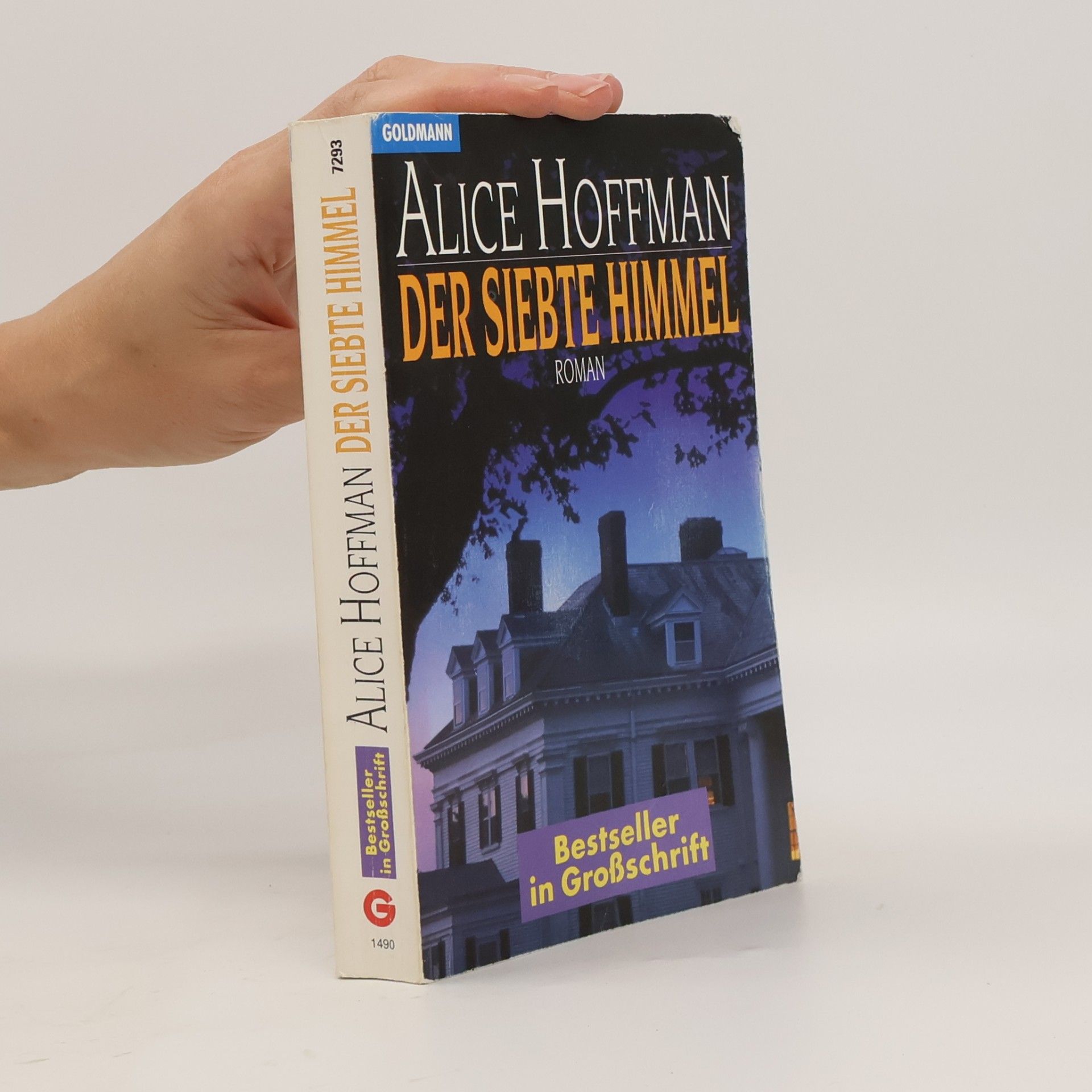 Alice Hoffmann Bestseller in Großschrift: Der siebte Himmel
