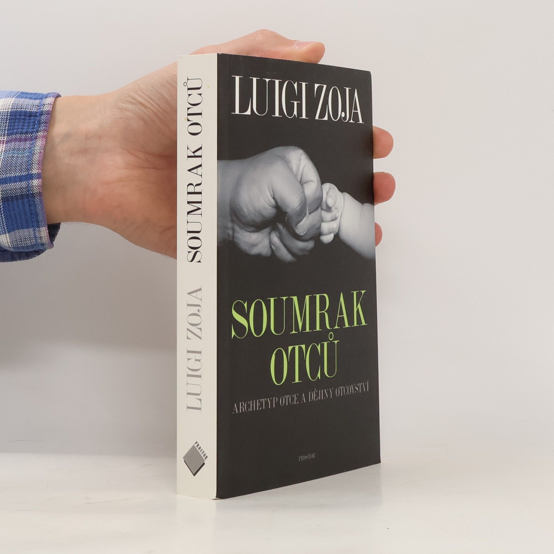 Soumrak otců - Archetyp otce a dějiny otcovství