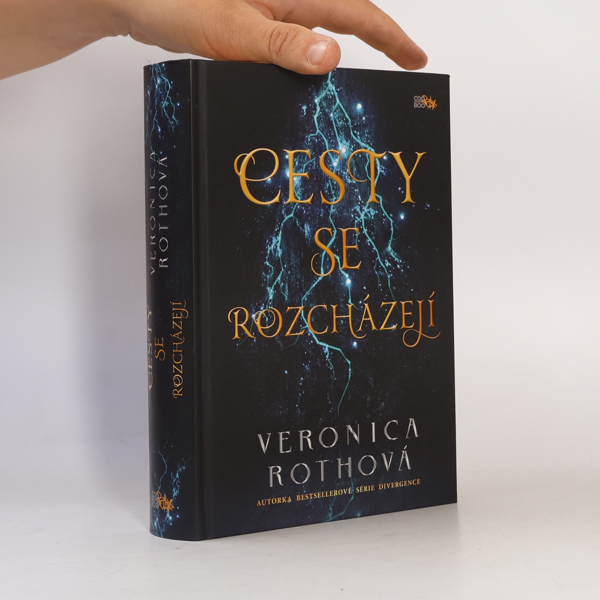Veronica Roth Cesty se rozcházejí