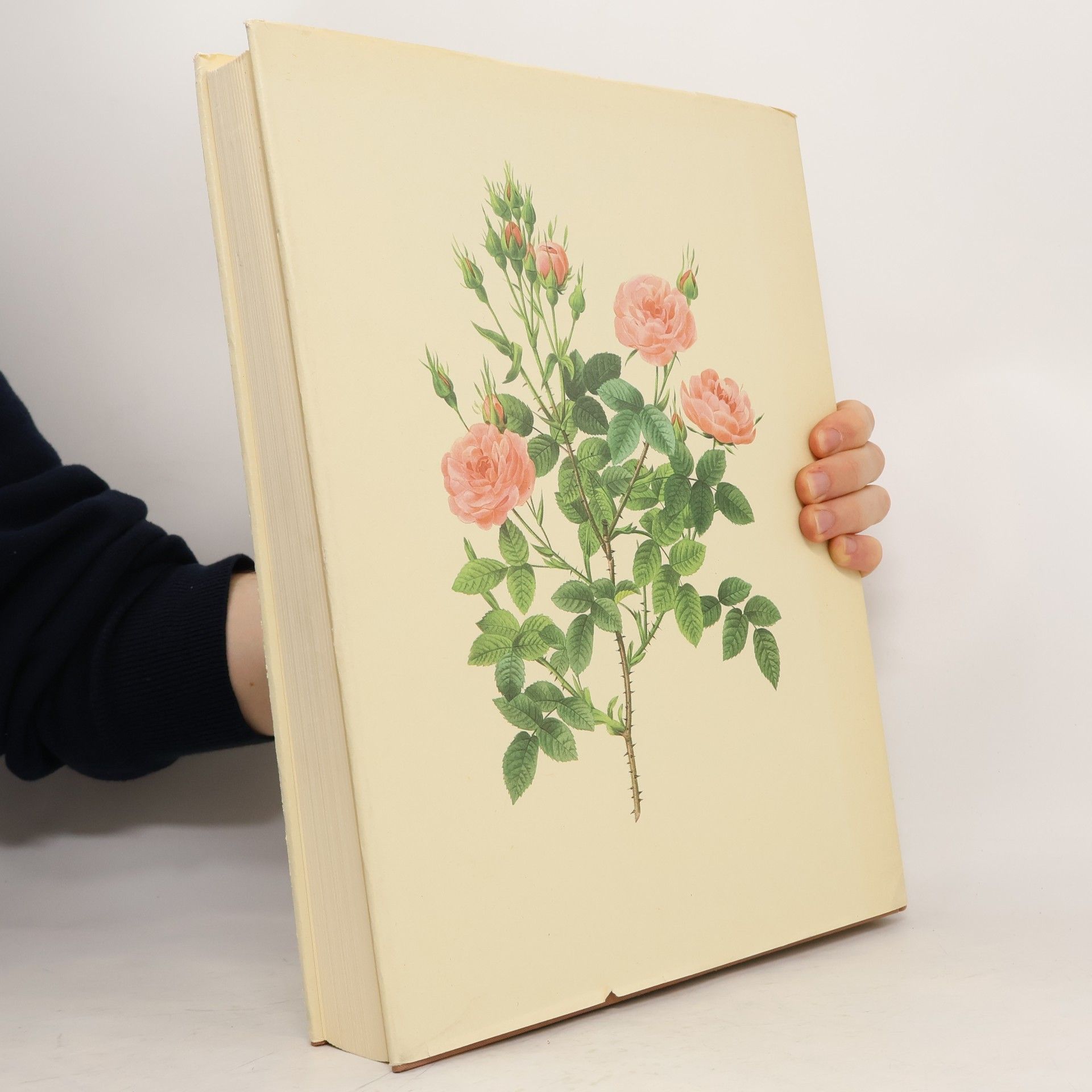 Pierre Joseph Redouté Les plus belles fleurs et branches de fruits