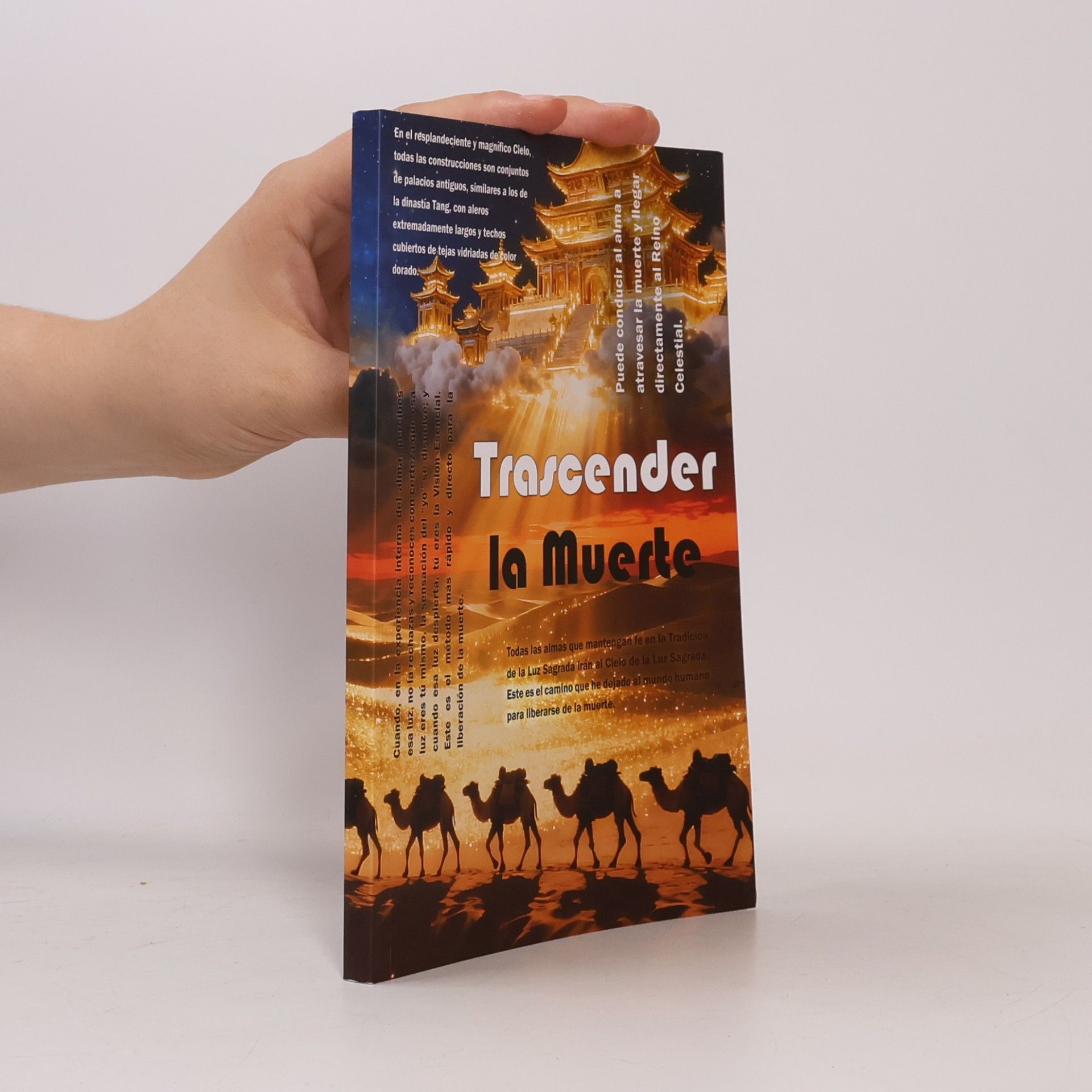 kolektiv Trascender la Muerte