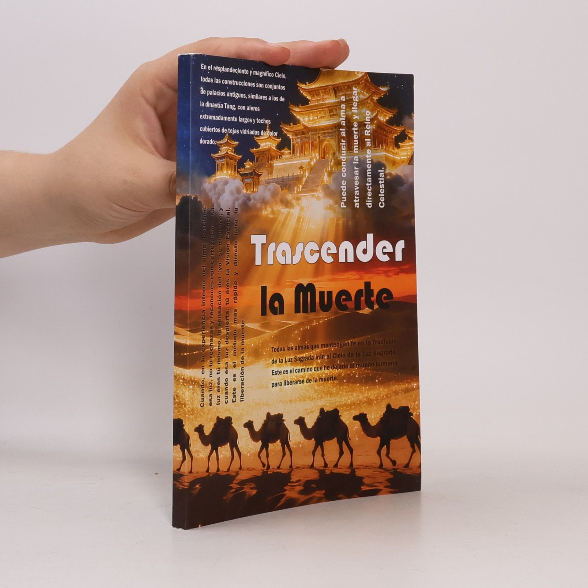 kolektiv Trascender la Muerte