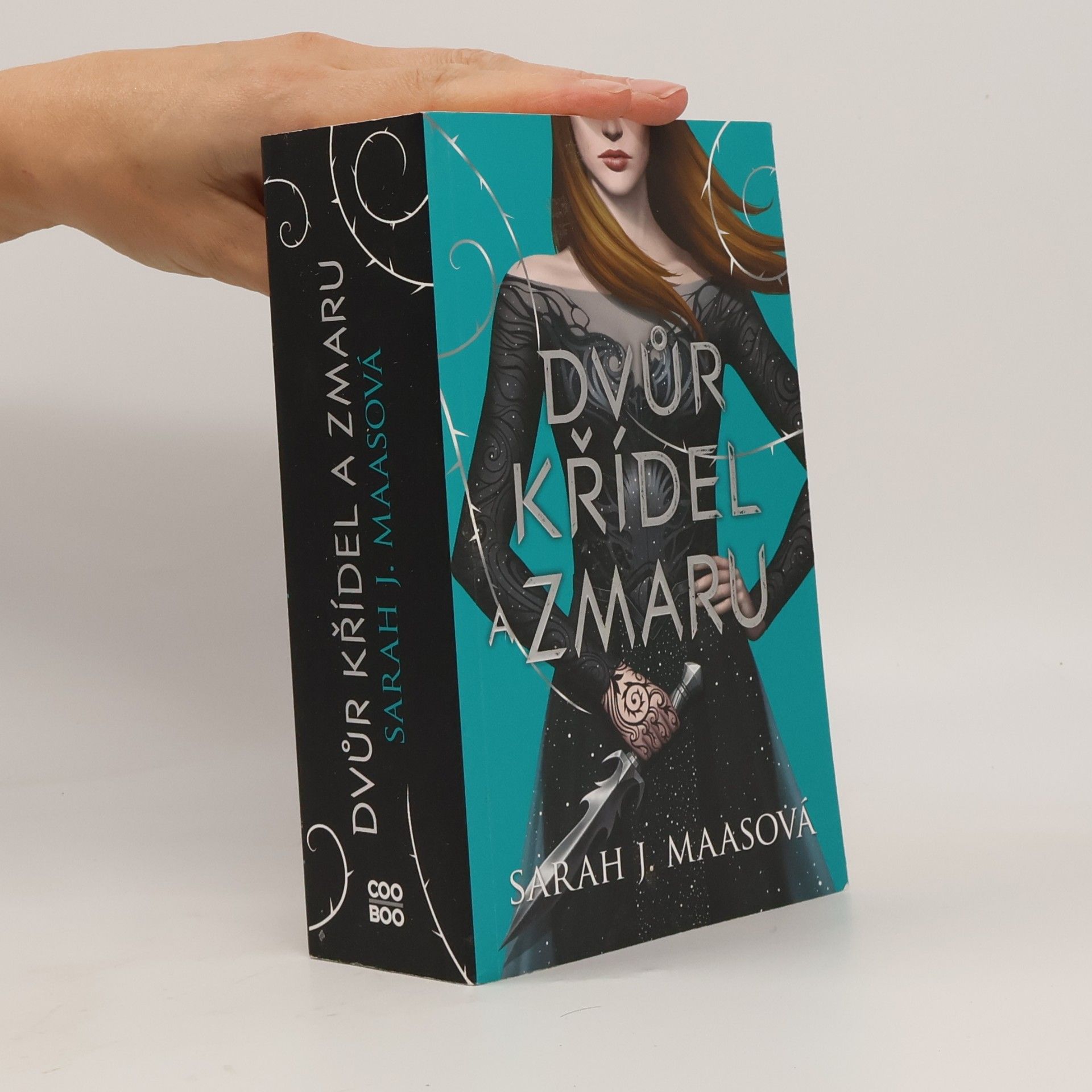 Sarah J. Maas Dvůr křídel a zmaru