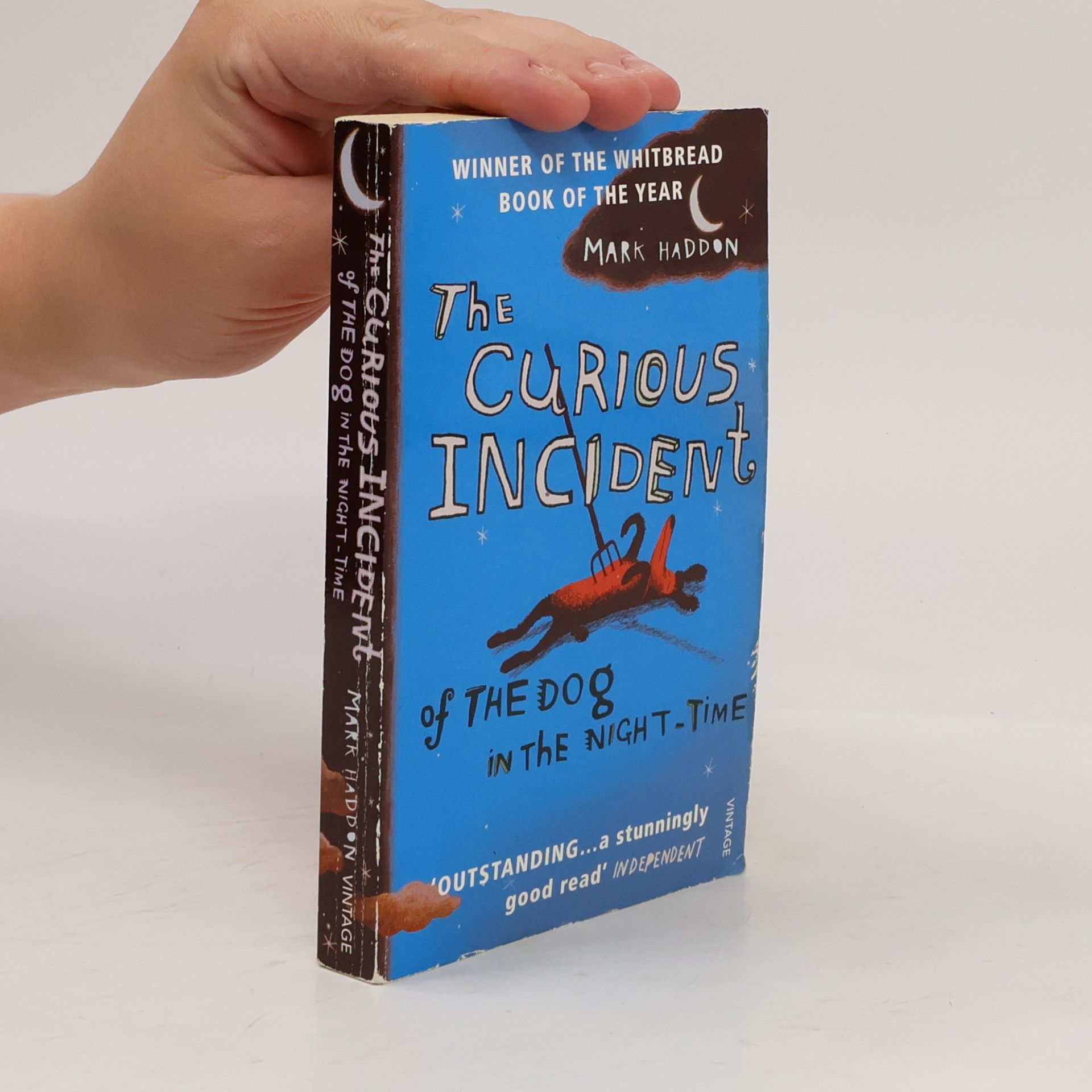 Mark Haddon The Curious Incident of The Dog in The Night-Time