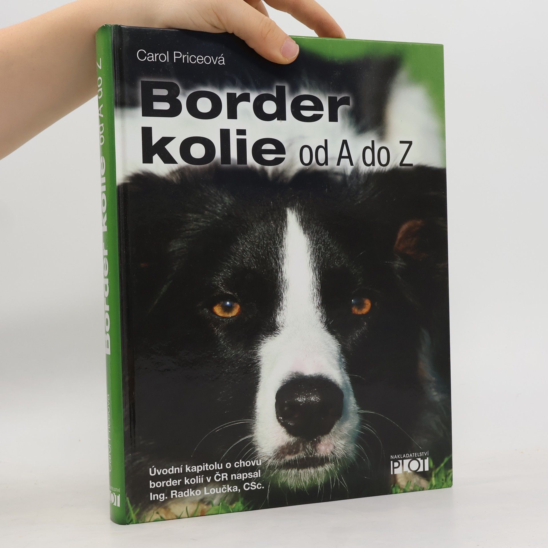 Carol Price Border kolie od A do Z