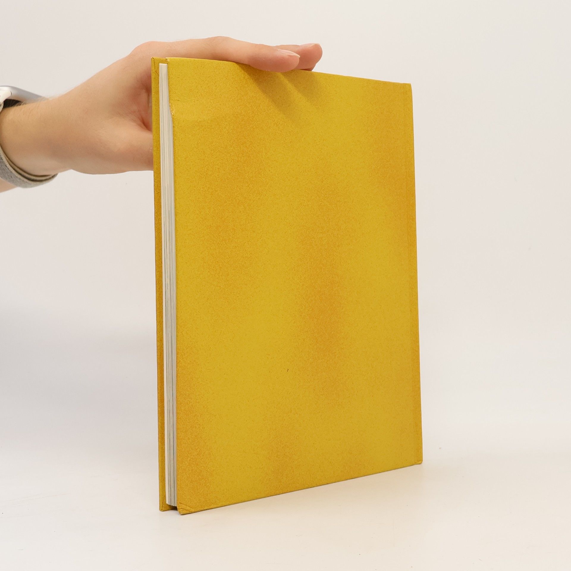 kolektiv Mein Buch mit biblischen Geschichten