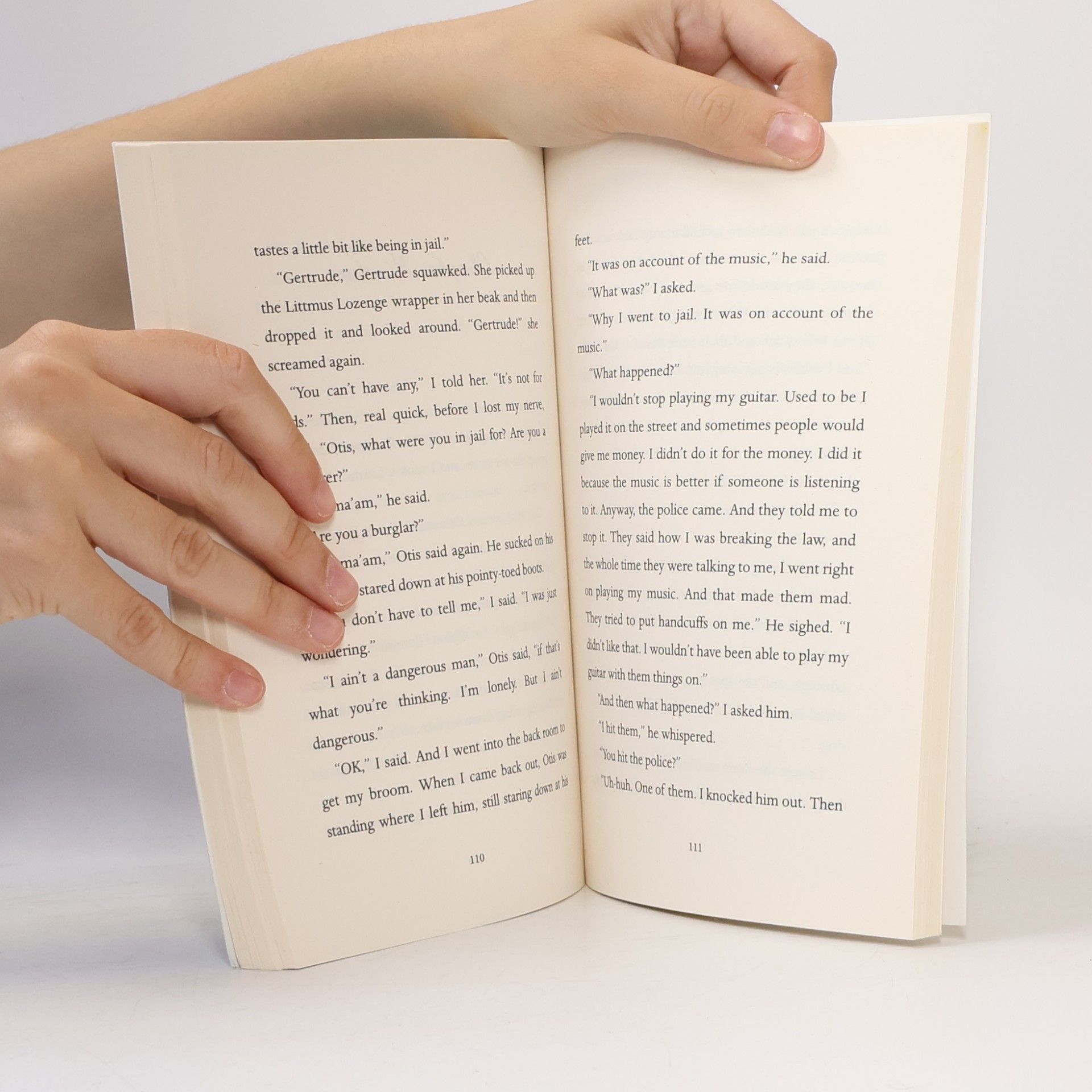 Kate DiCamillo Because of Winn-Dixie