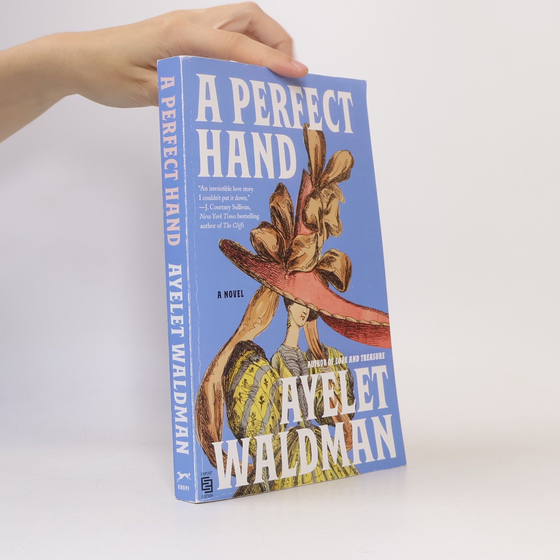 Ayelet Waldman A Perfect Hand: A Novel - Export Edition