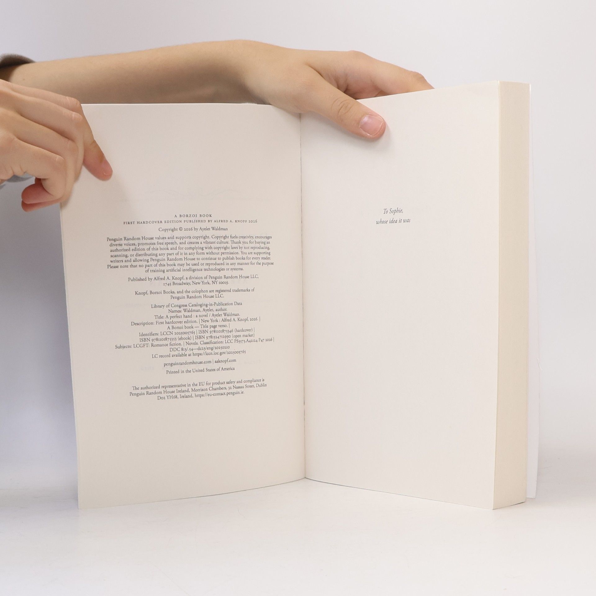 Ayelet Waldman A Perfect Hand: A Novel - Export Edition