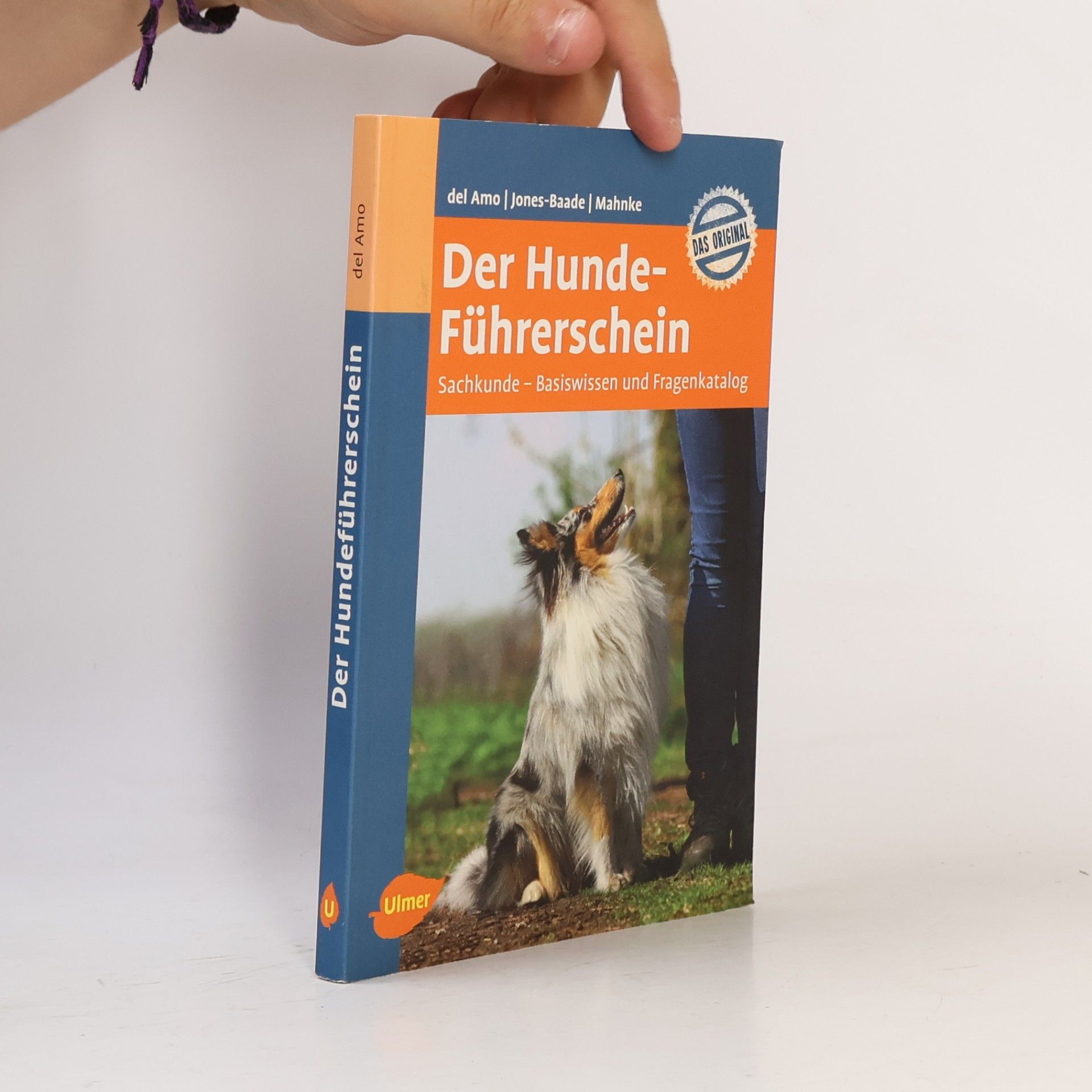 Der Hundeführerschein