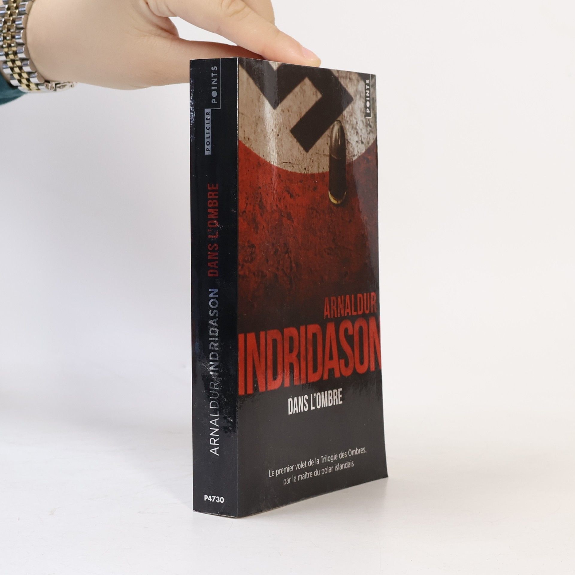 Arnaldur Indridason Dans l'ombre