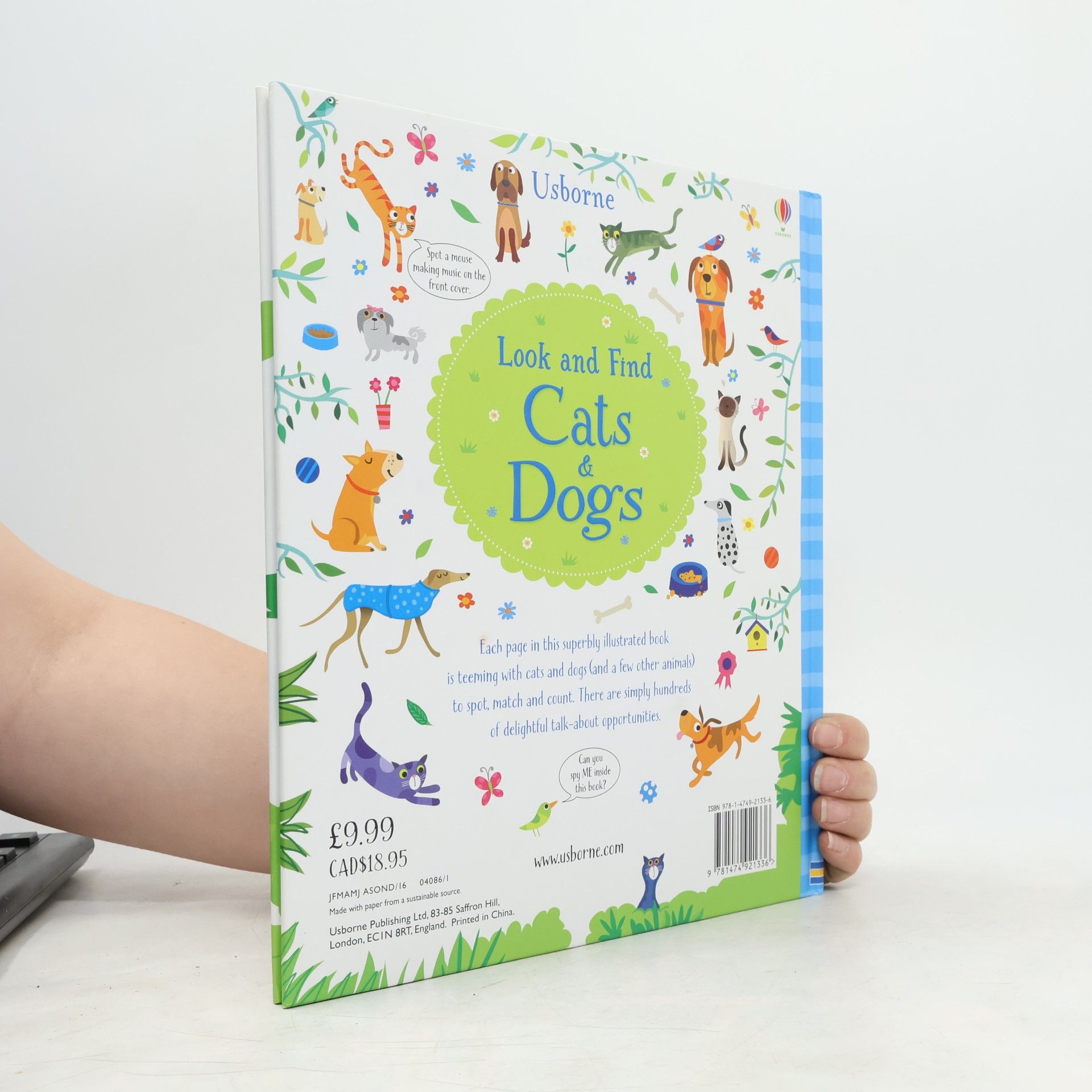 Kirsteen Robson Look and Find Cats & Dogs