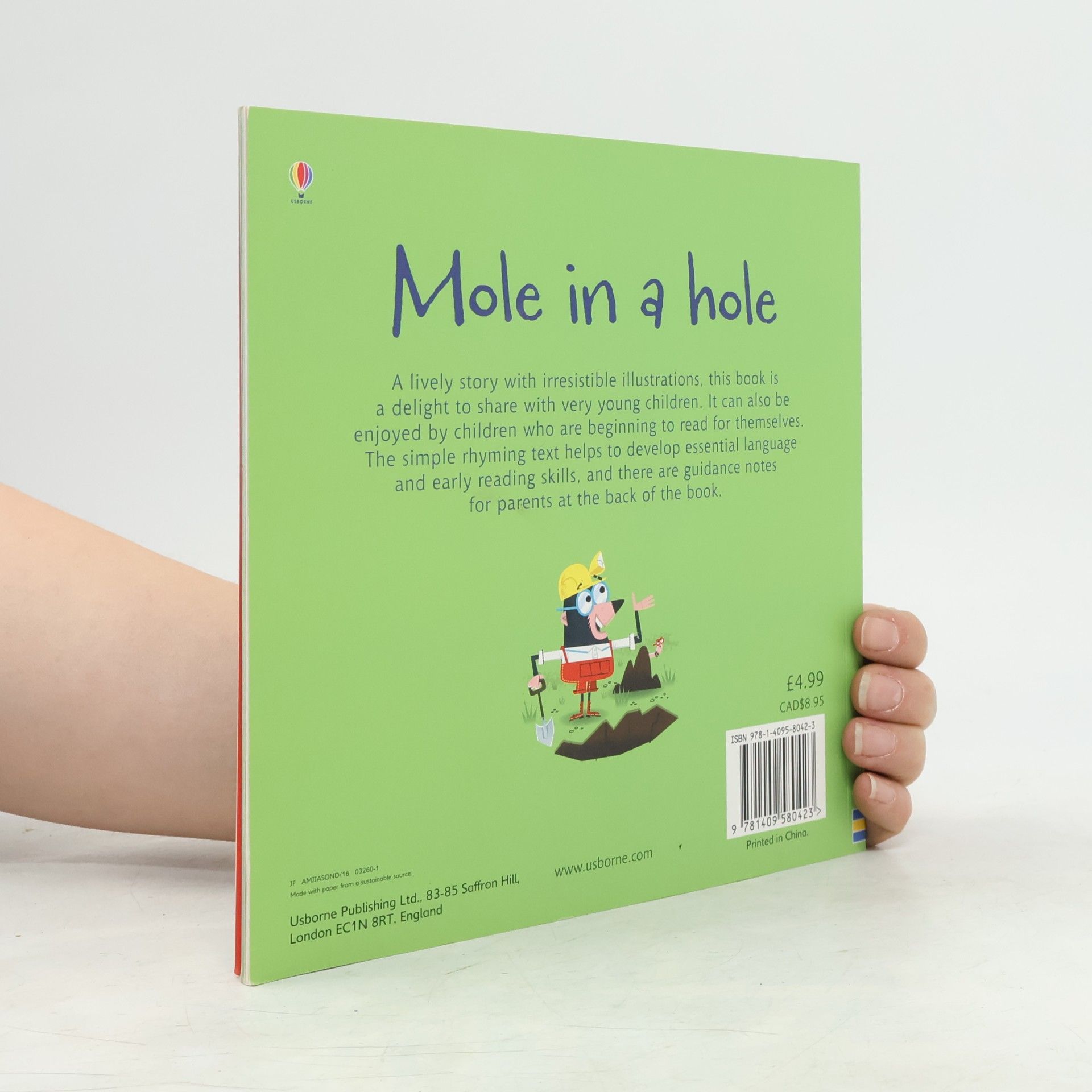 Lesley Sims Mole in a Hole