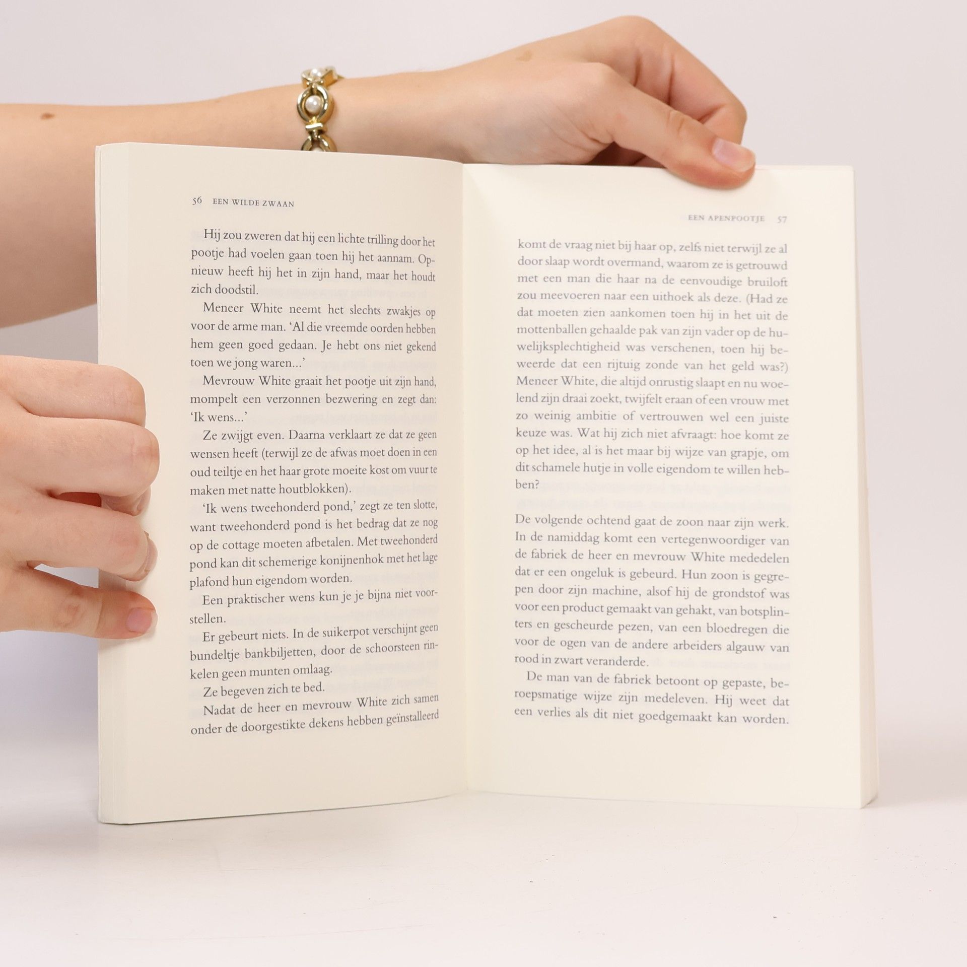 Michael Cunningham Een wilde zwaan en andere vertellingen (Dutch Edition)