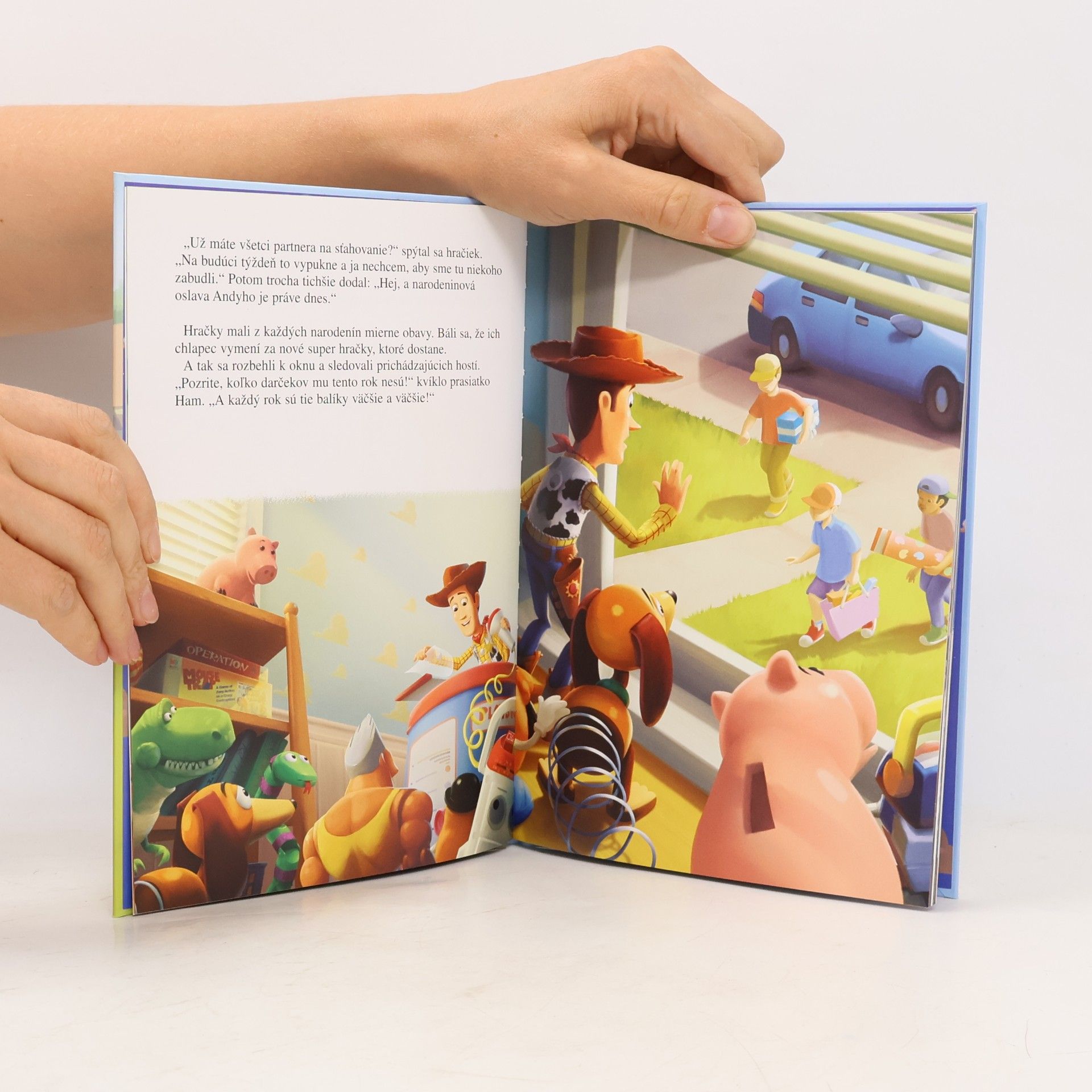 Auteurscollectief Toy Story. Boj hračiek