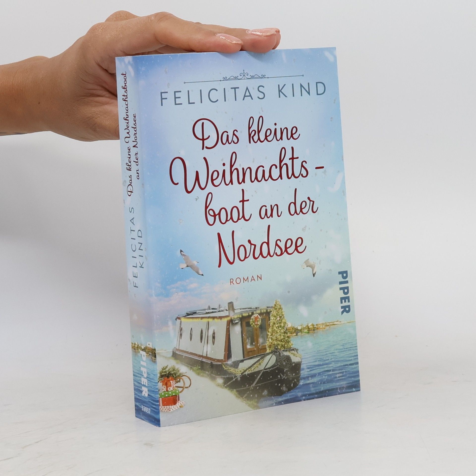 Felicitas Kind Das kleine Weihnachtsboot an der Nordsee