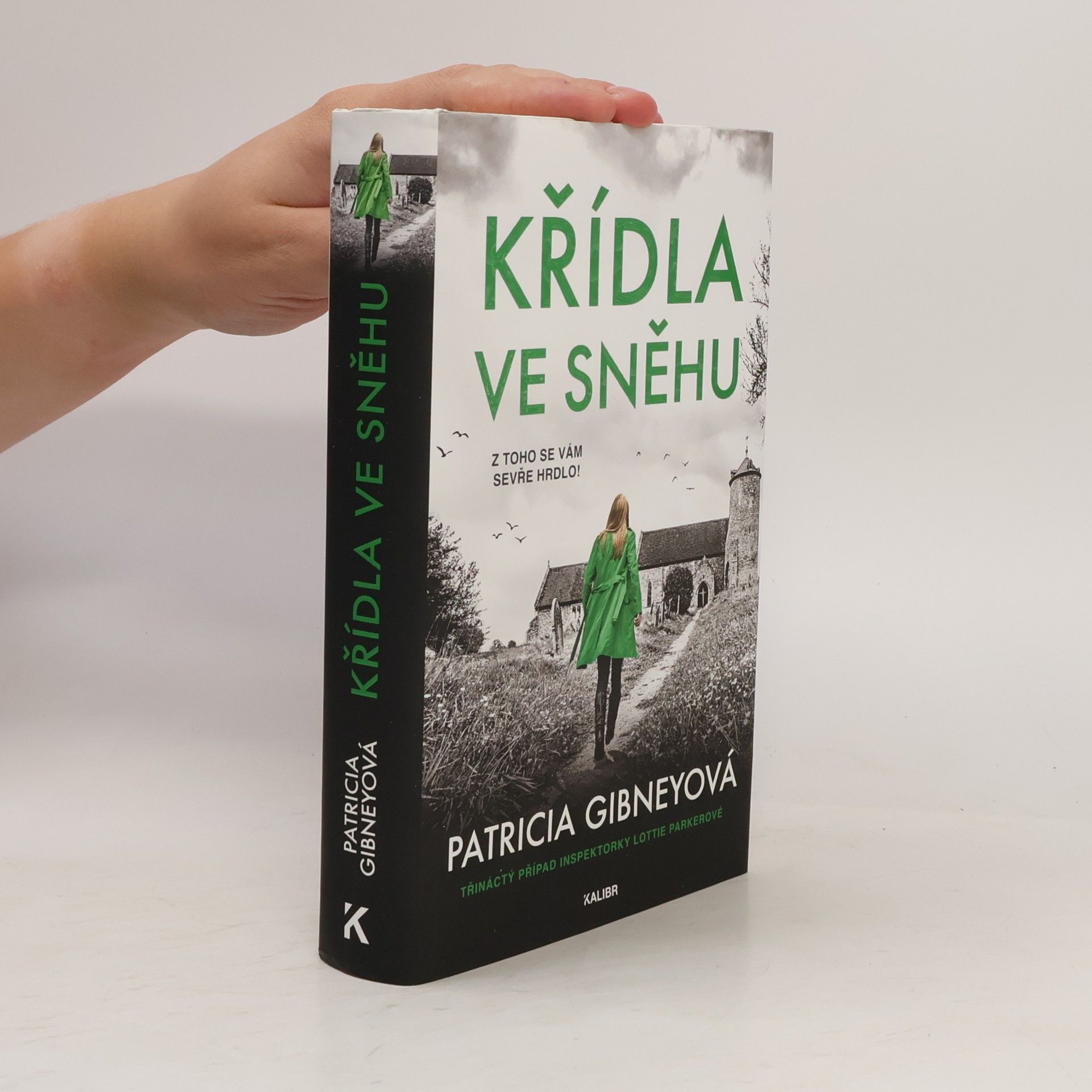Křídla ve sněhu