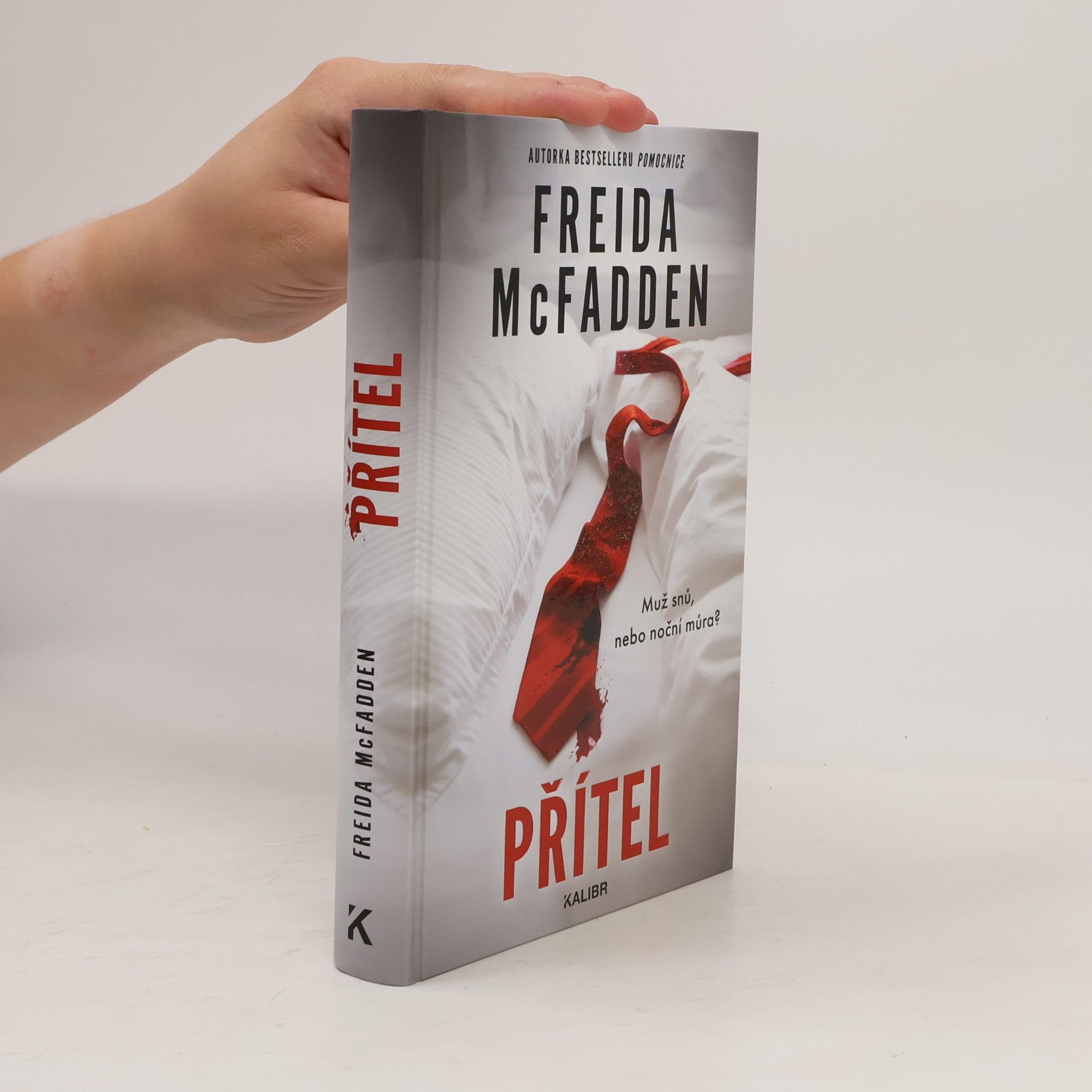Freida McFadden Přítel