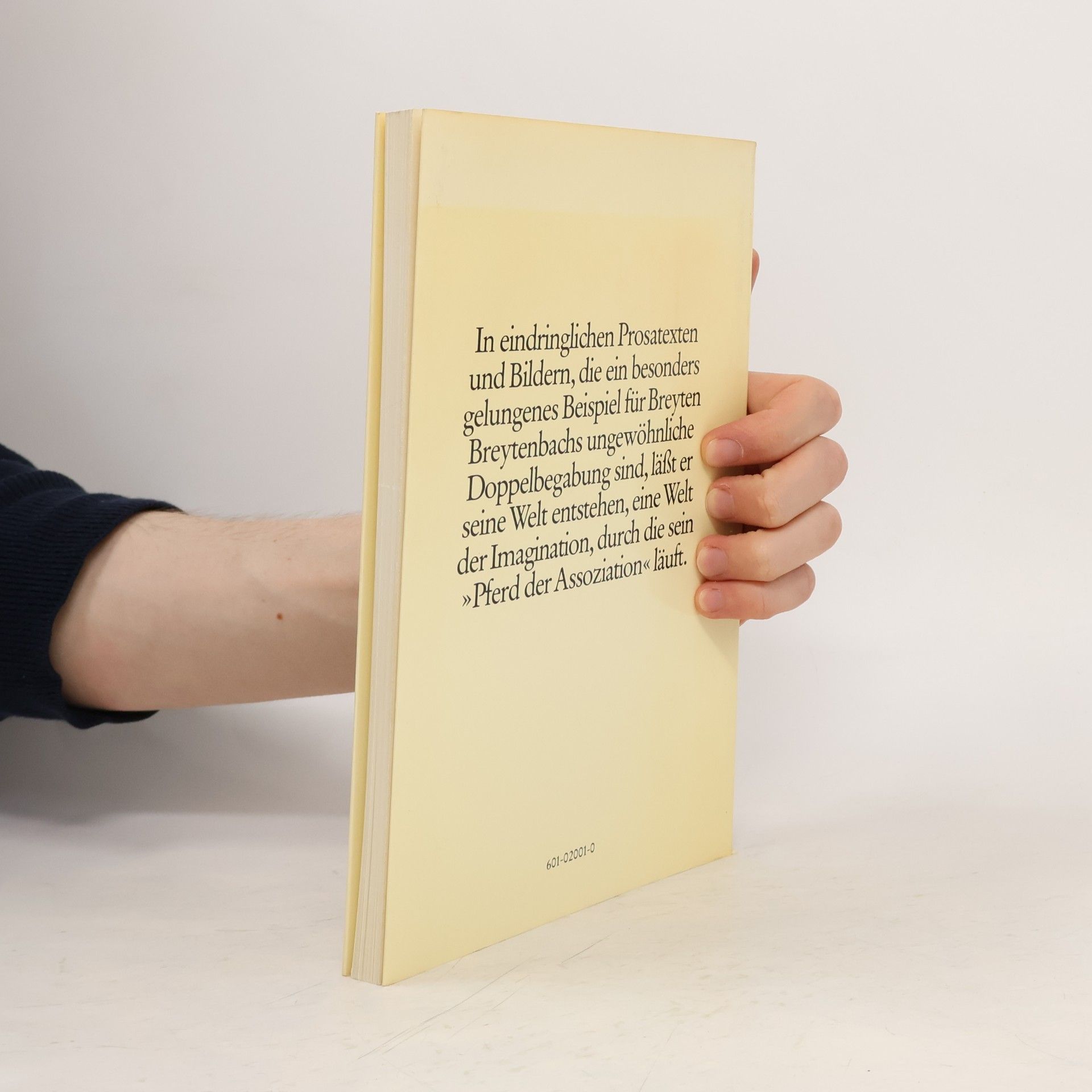 Breytenbach, Breyten Alles ein Pferd: Texte und Bilder