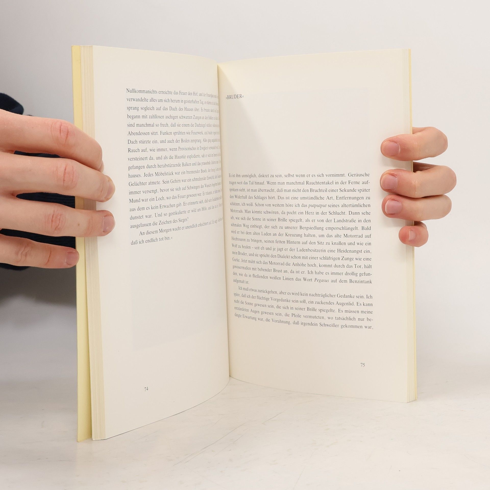 Breytenbach, Breyten Alles ein Pferd: Texte und Bilder