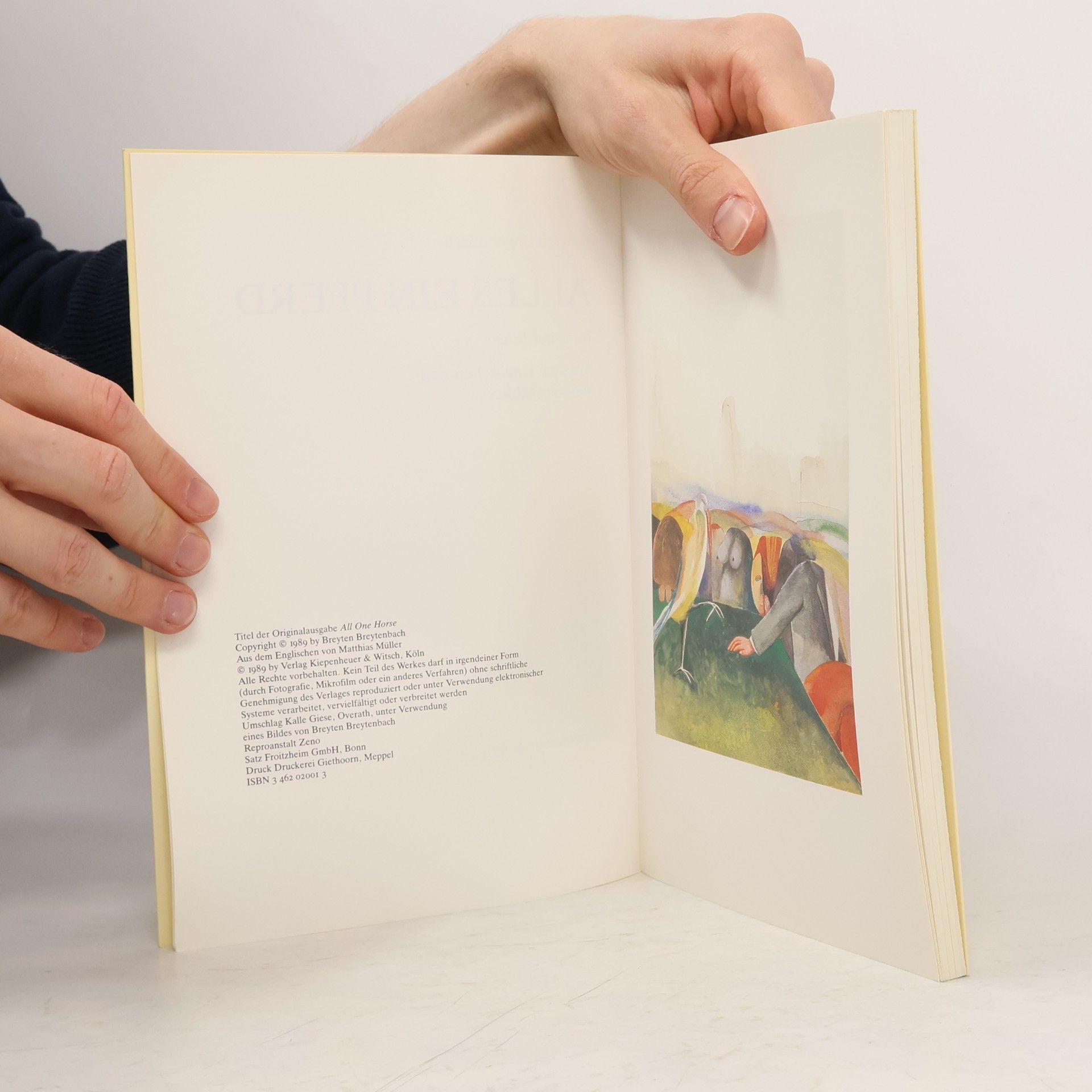 Breytenbach, Breyten Alles ein Pferd: Texte und Bilder