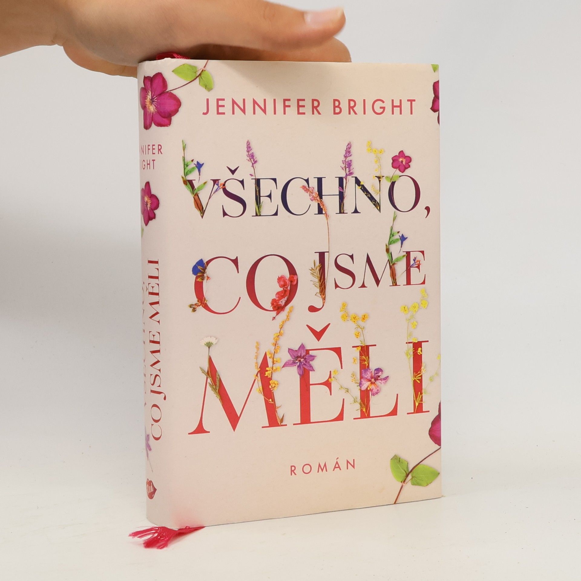 Jennifer Bright Všechno, co jsme měli