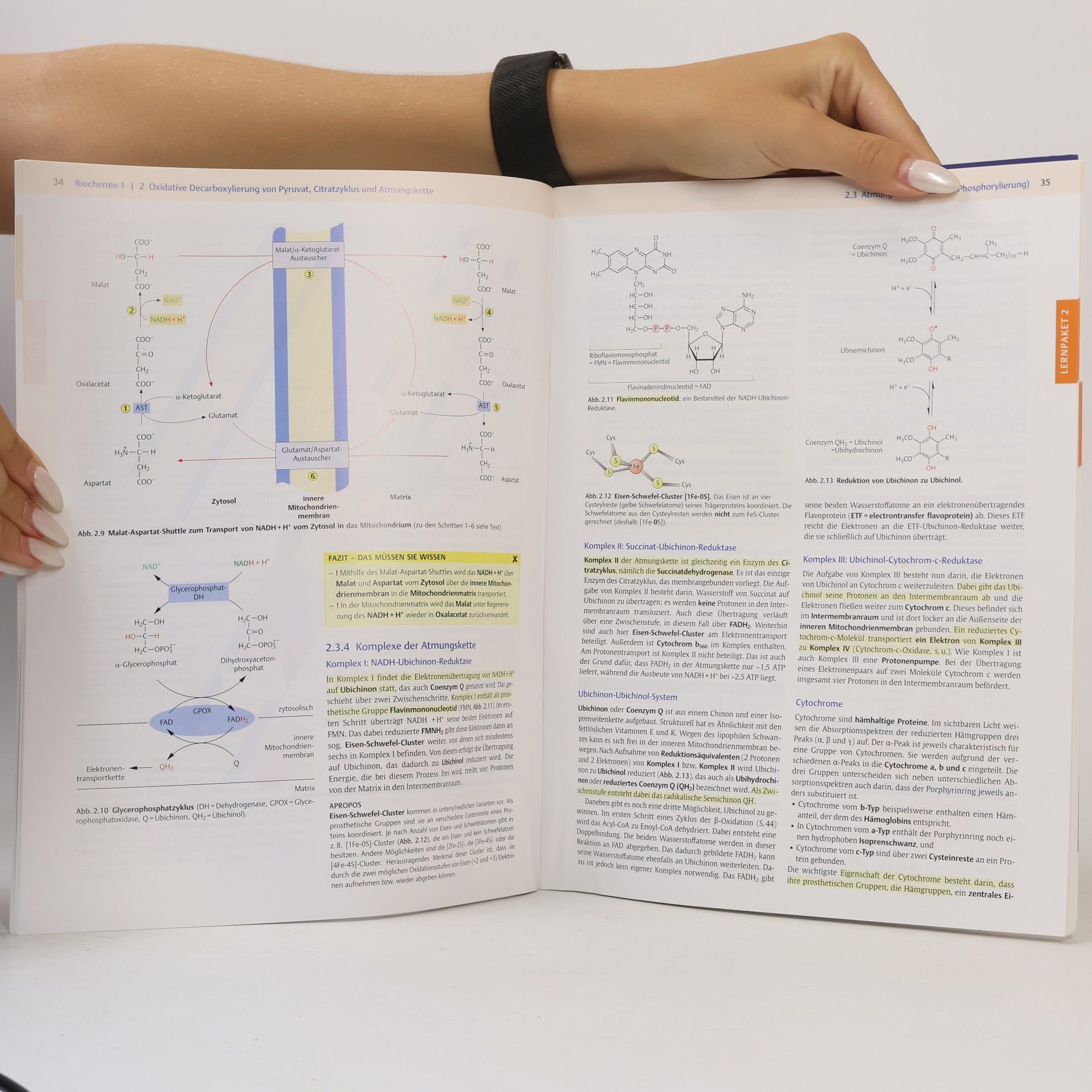 kolektiv Endspurt Vorklinik. Biochemie 1
