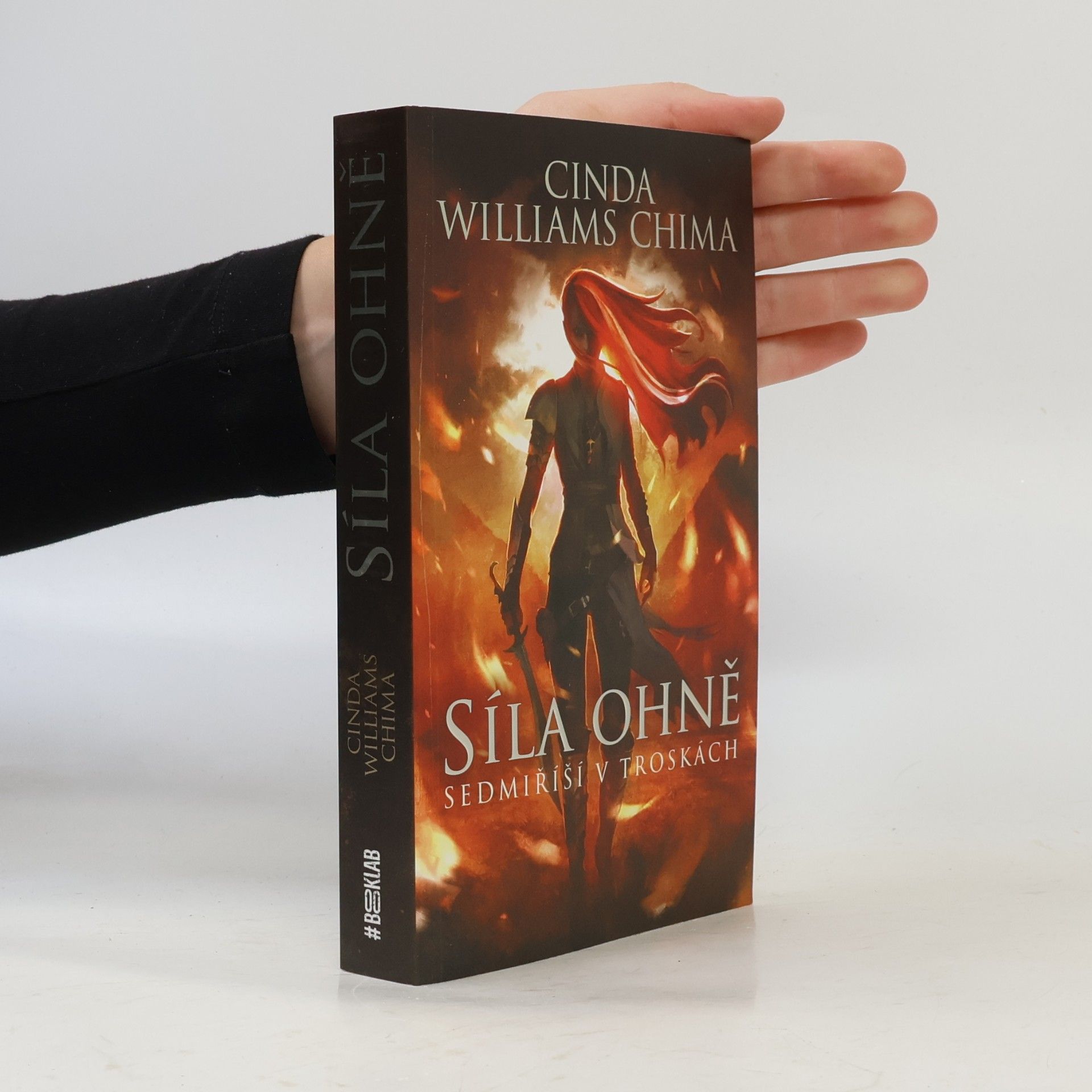 Cinda Williams Chima Sedmiříší v troskách. Síla ohně