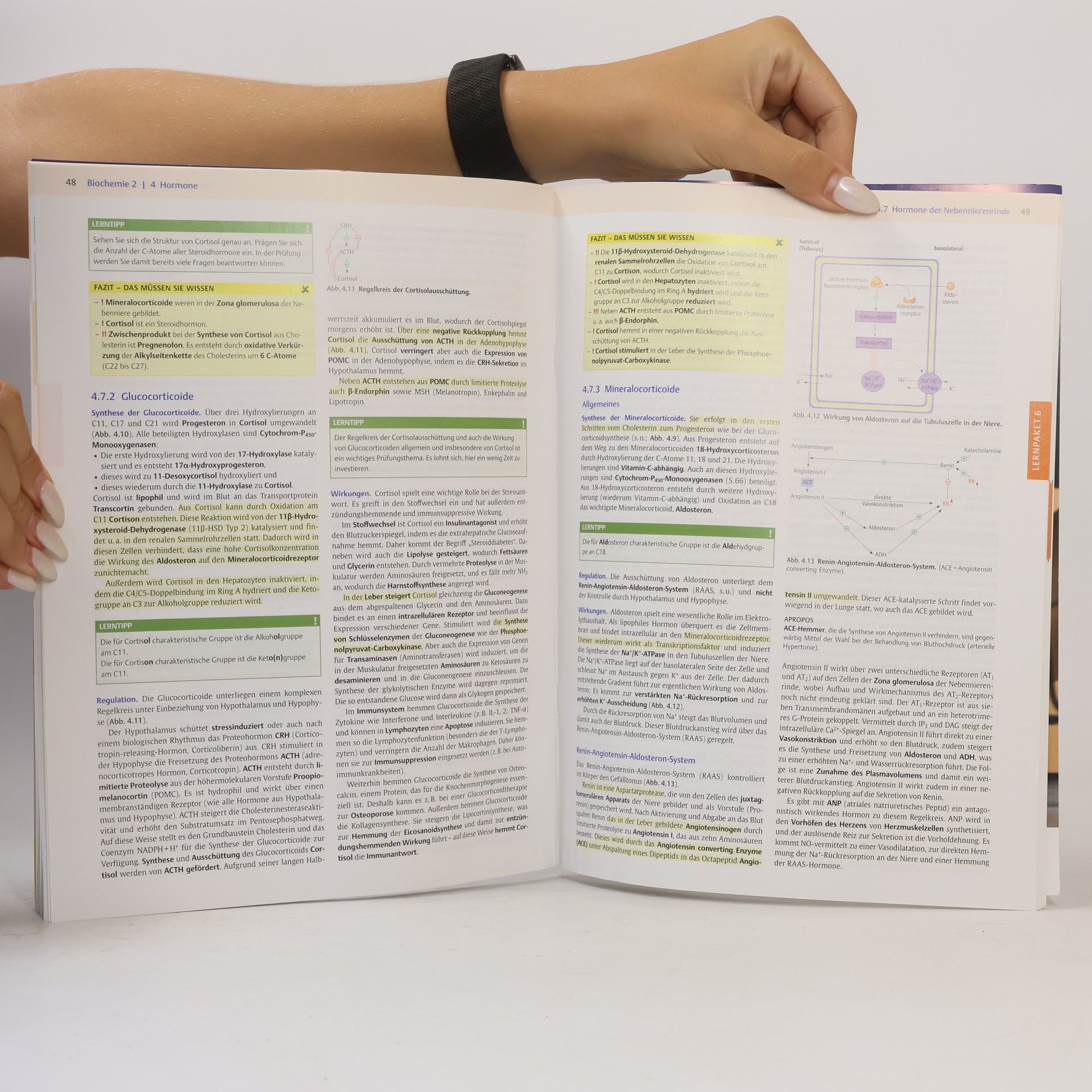 Autorenkollektiv Endspurt Vorklinik: Biochemie 2