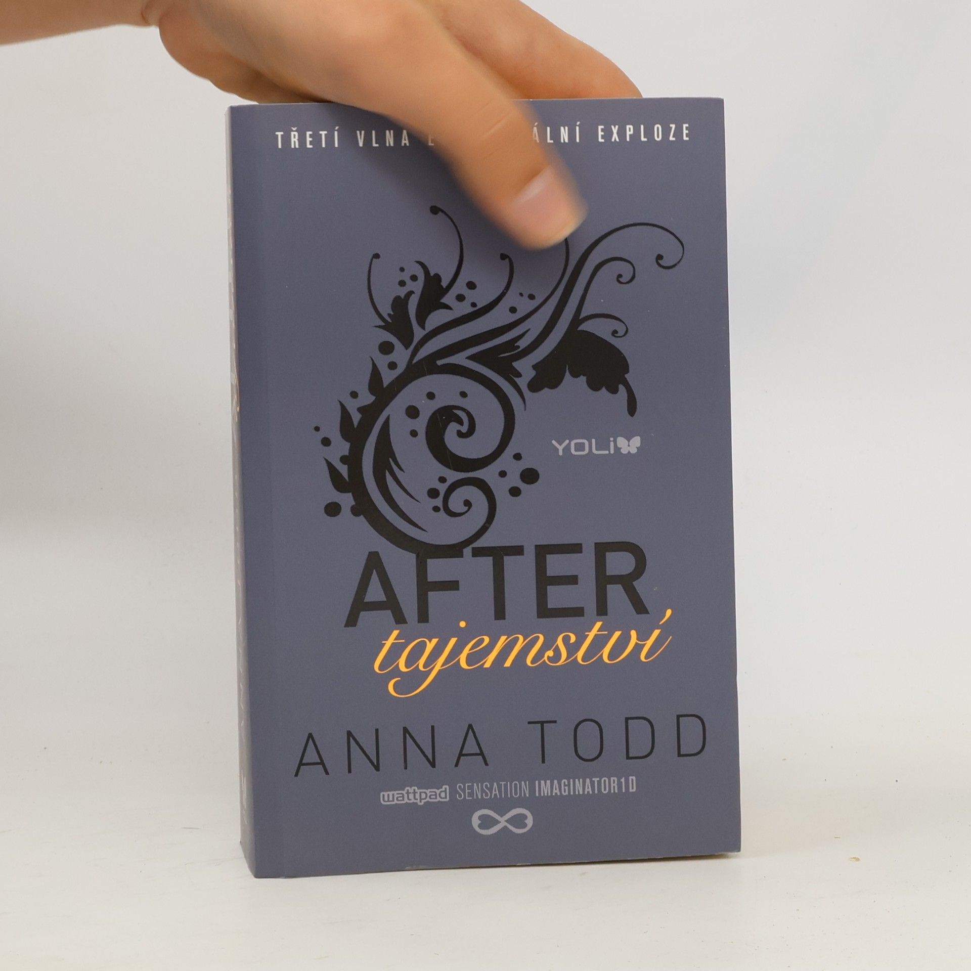 Anna Todd After. Tajemství